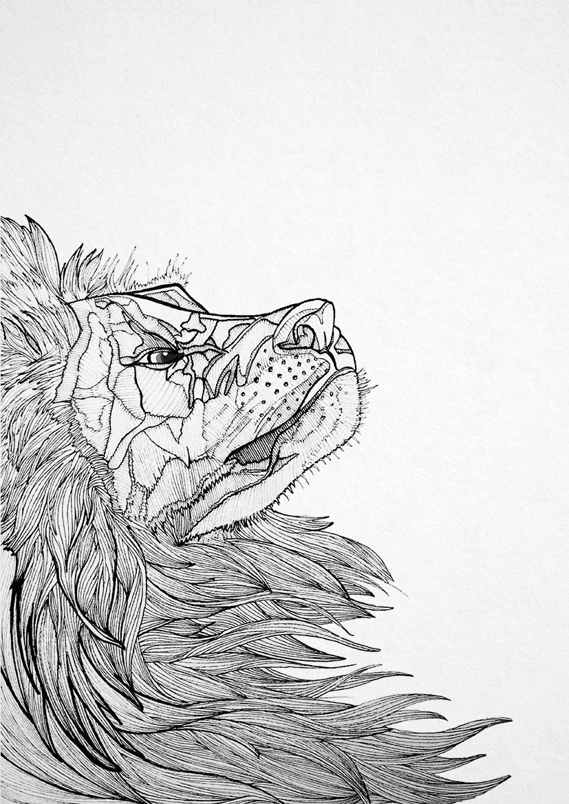 lion low res again.jpg