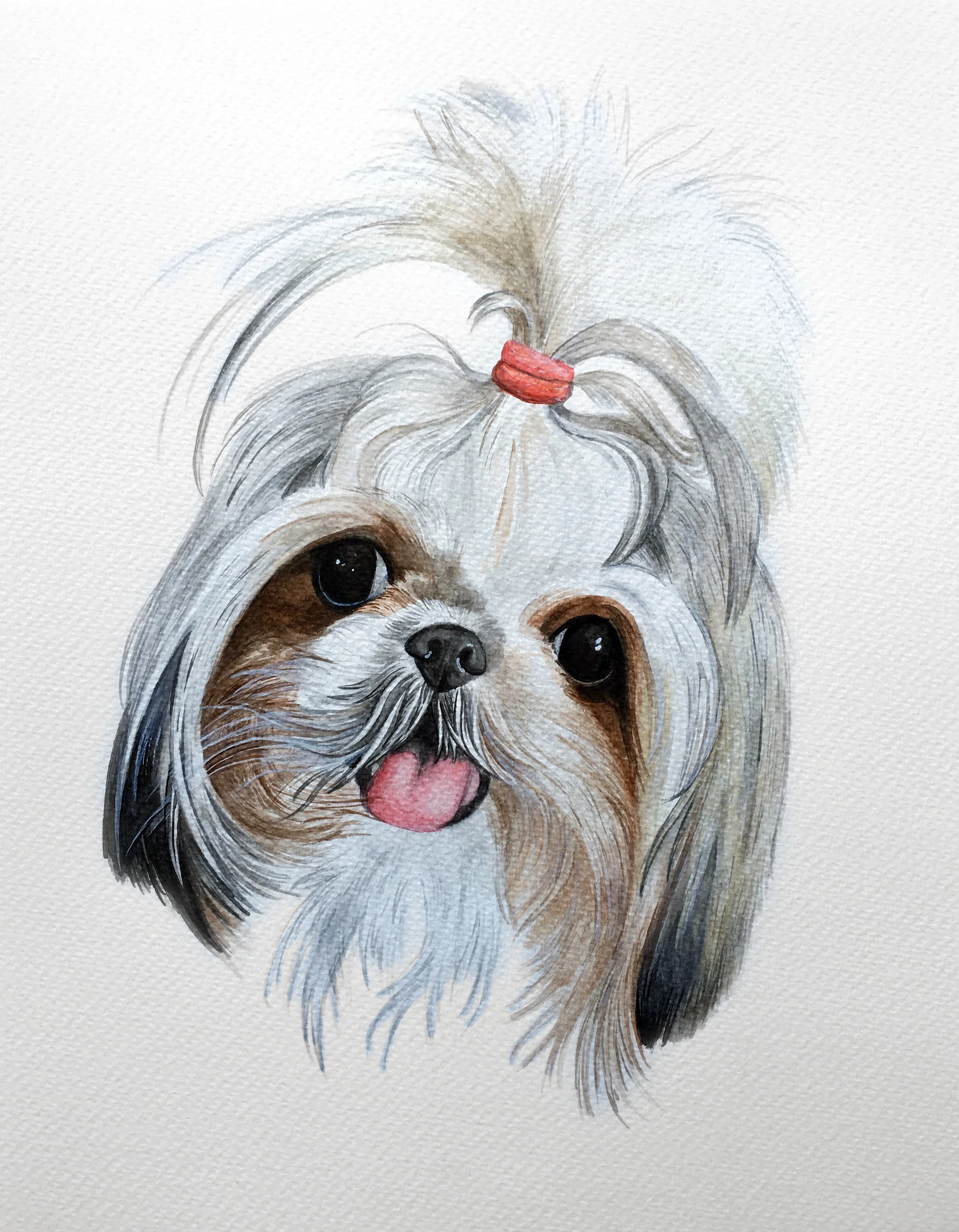 persias dog 2.jpg
