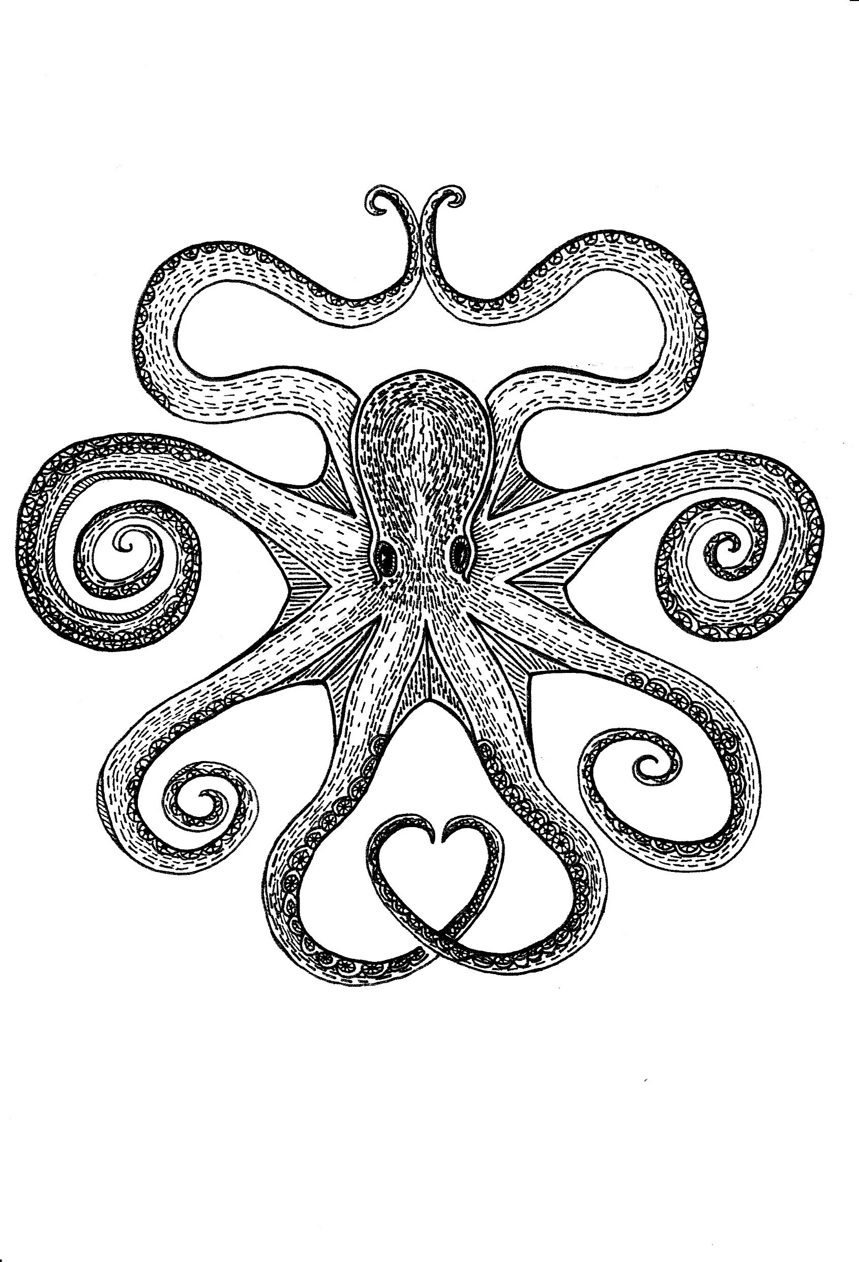 Octolove.jpeg