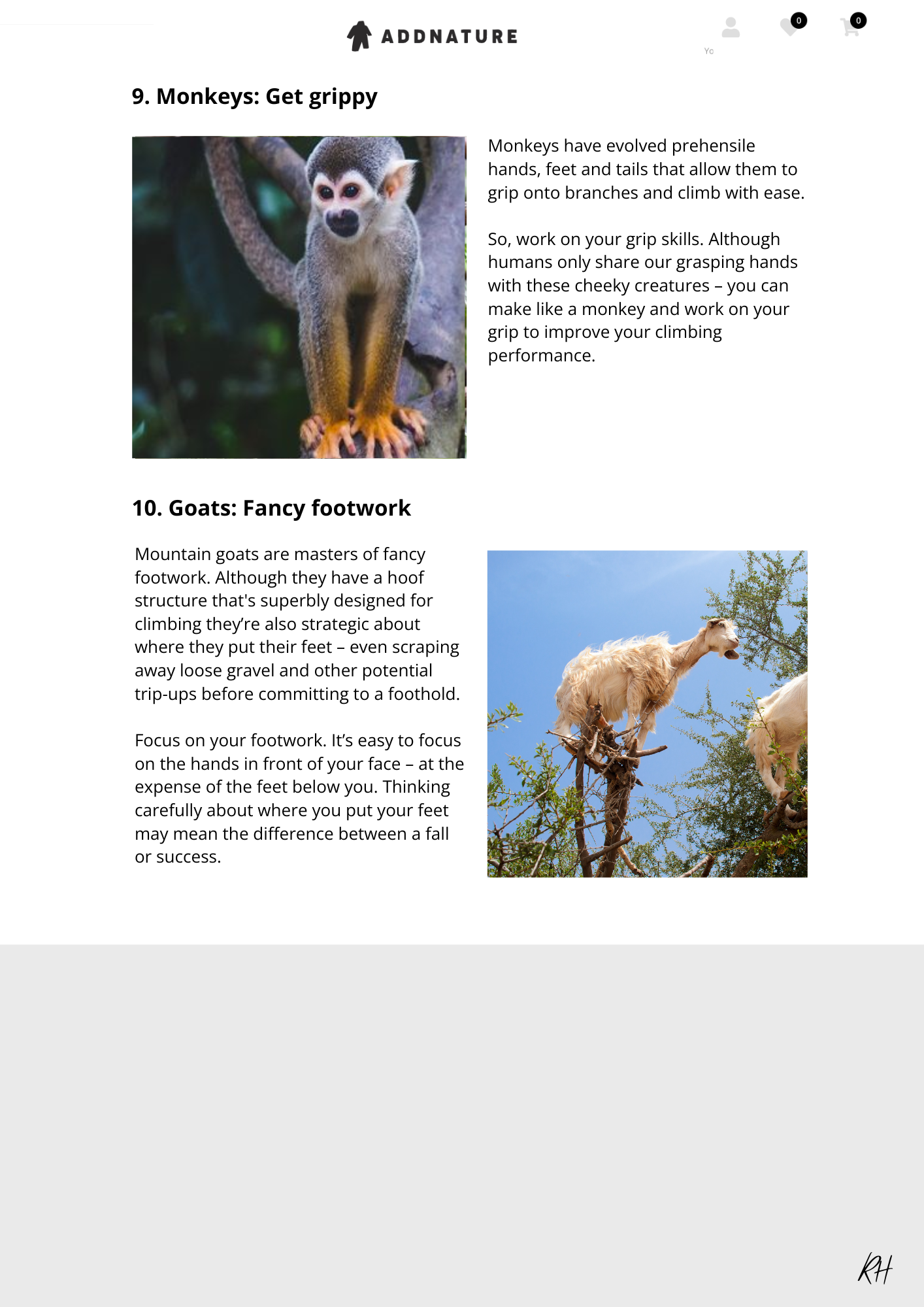 Climbing lessons from the animal kingdom