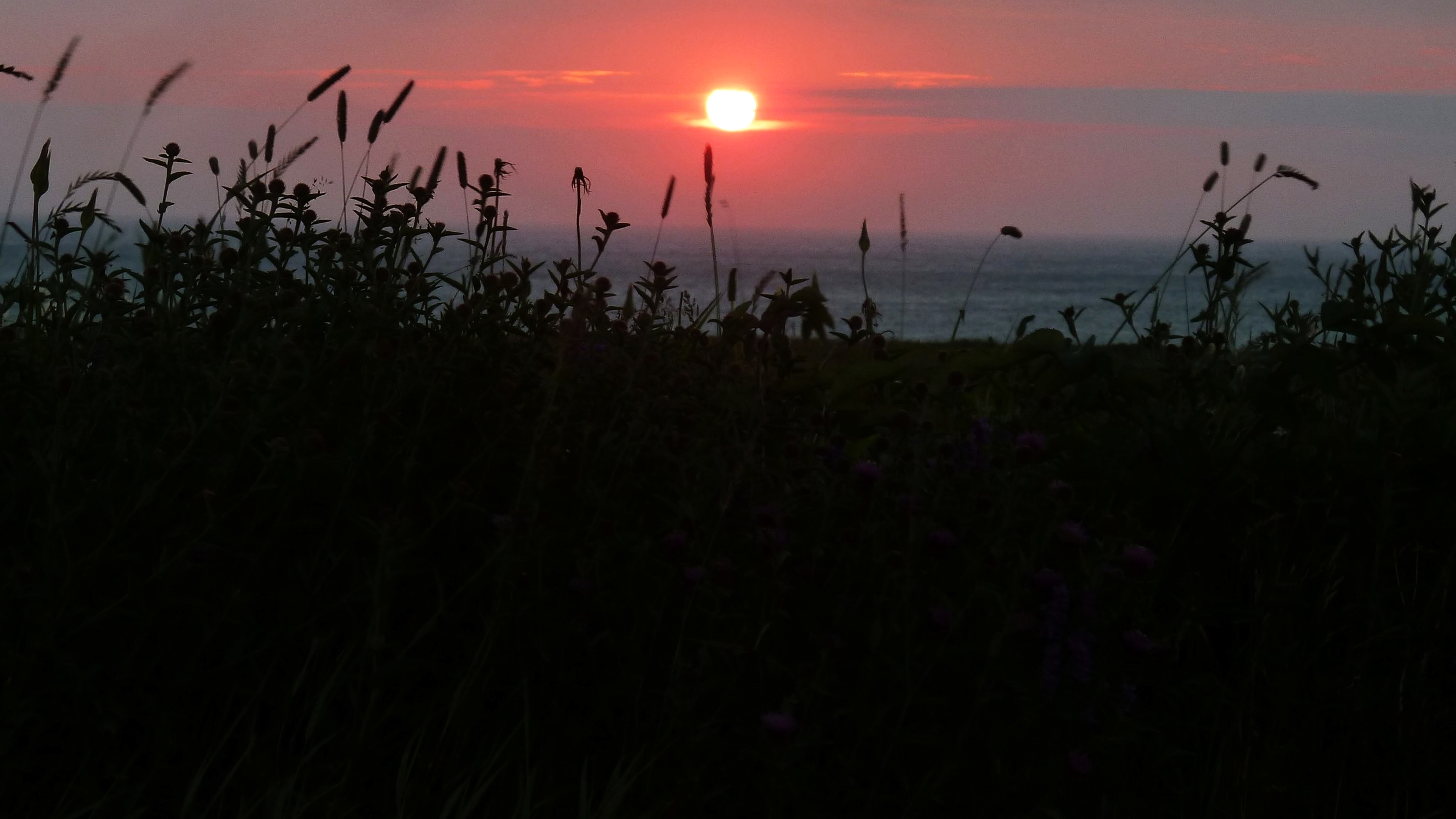 sunsest1.jpg