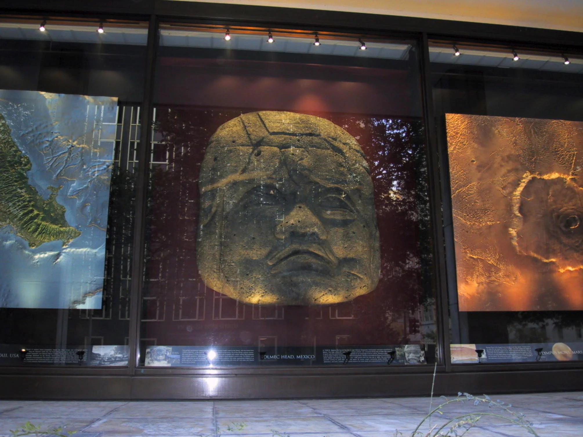 w.home.slide5.ulmac head displayed.jpg