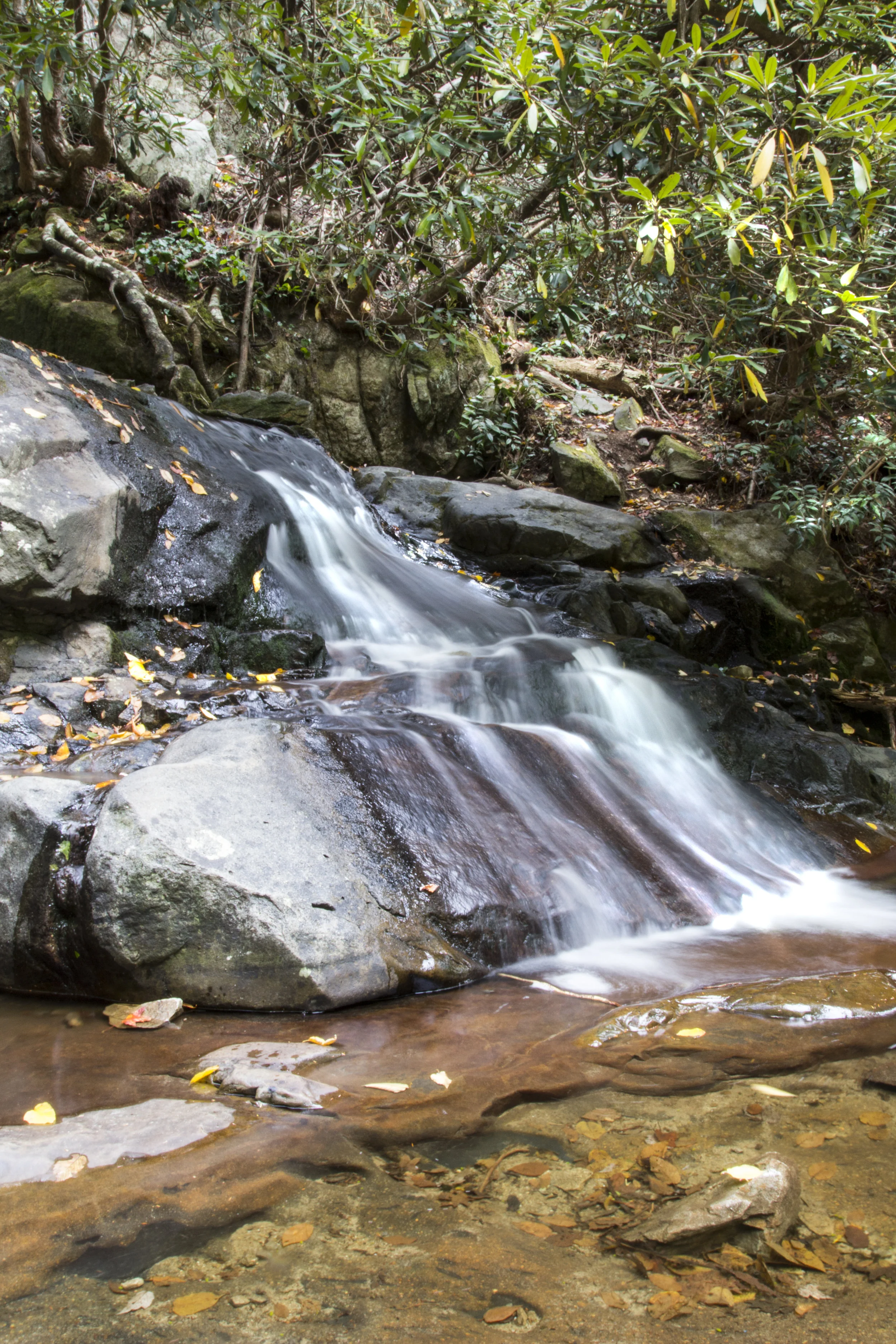 Laurel Falls Vert.jpg