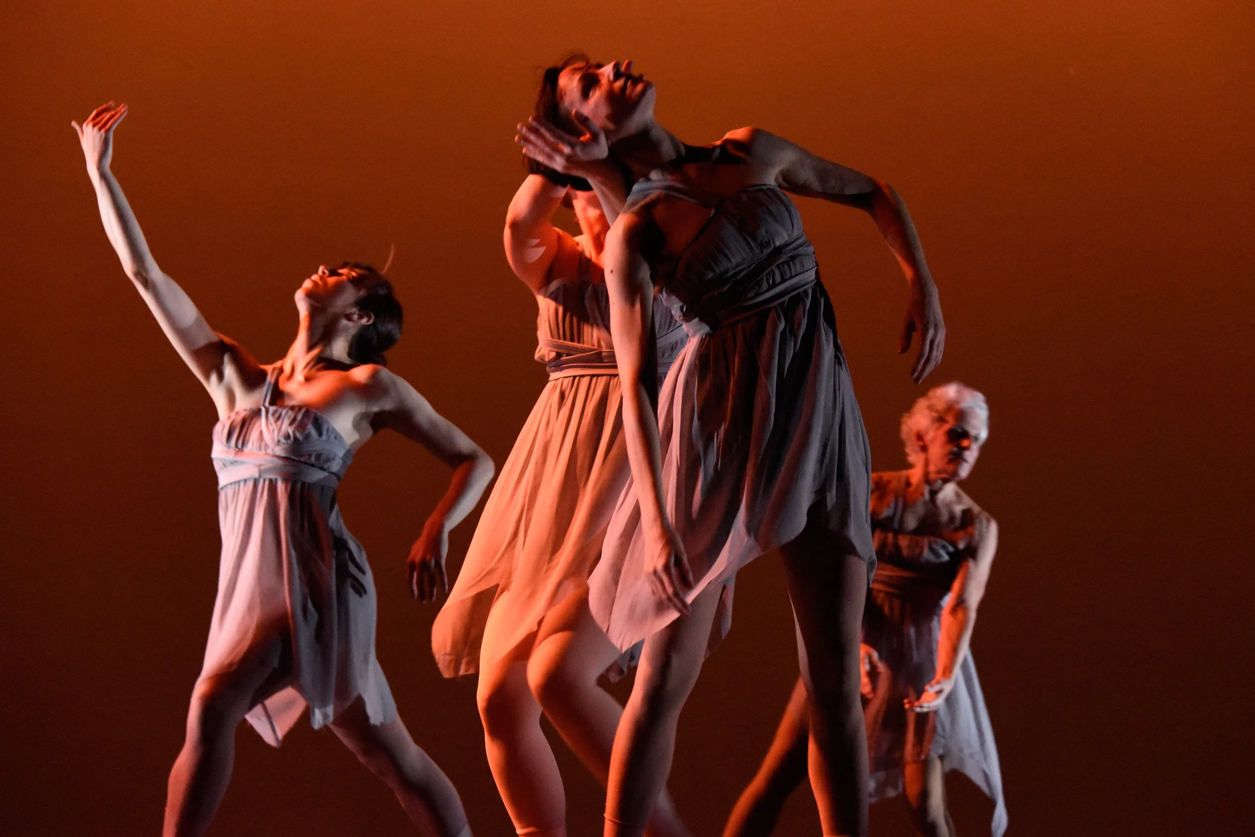 Grey. Four women in short grey dresses are in various shapes with one dancer’s head being supported by another dancer.