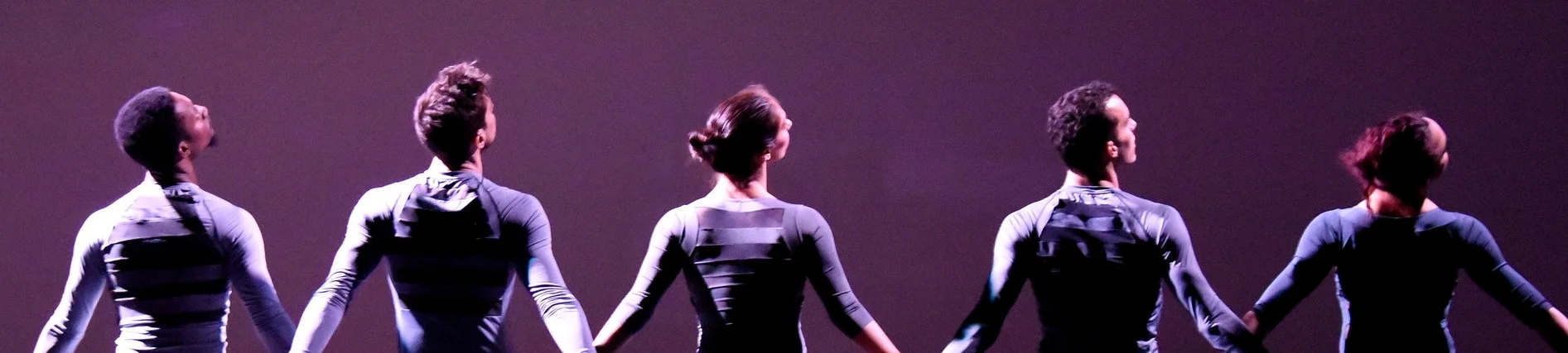 Grey 1_DSC0321 12x6 IncSat Con1.jpg