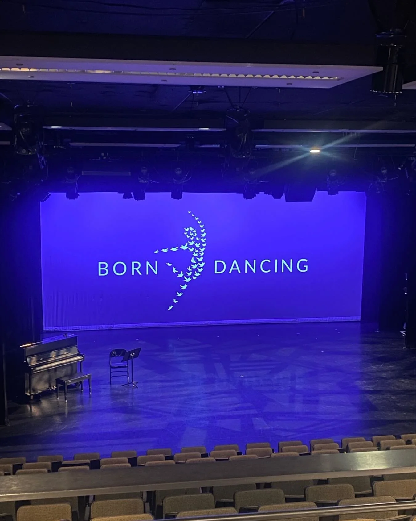 We@open on Saturday! Come see us! https://www.eventbrite.com/e/born-dancing-performances-dec-2025-tickets-1947465354299?aff=oddtdtcreator