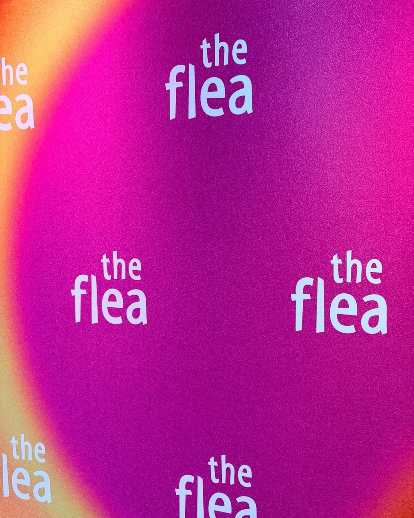 Born Dancing is at The Flea Theater this week working with 12 students who are designing and producing their own show!