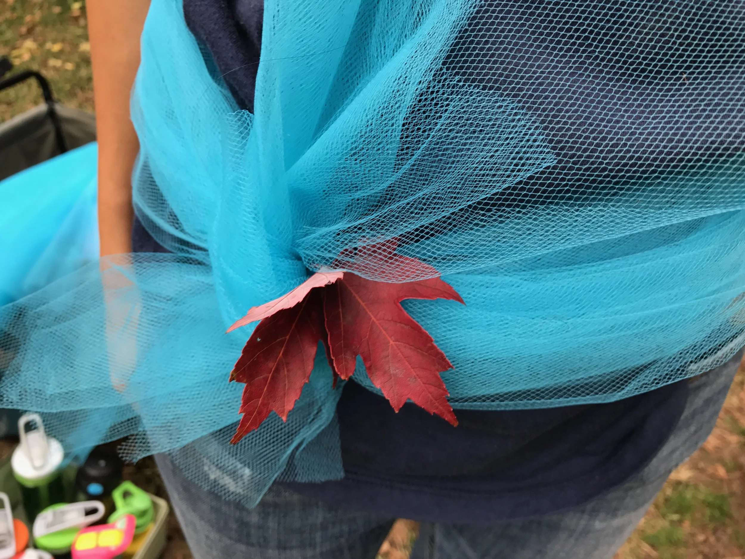 A2DE27B2-3094-4BC5-A737-5476EFA2C3C4.JPG