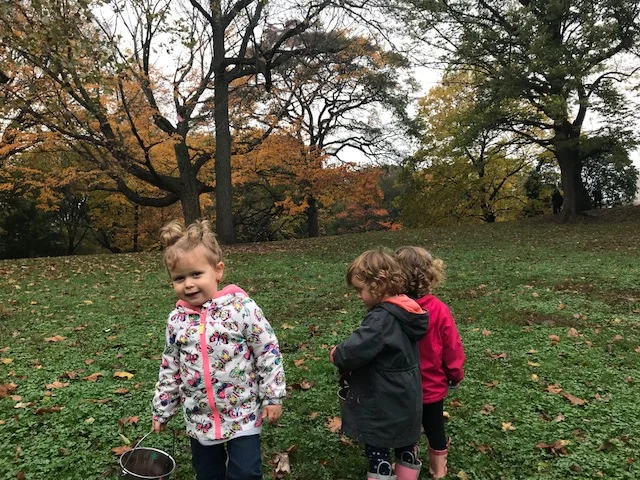 IMG_4041.jpg