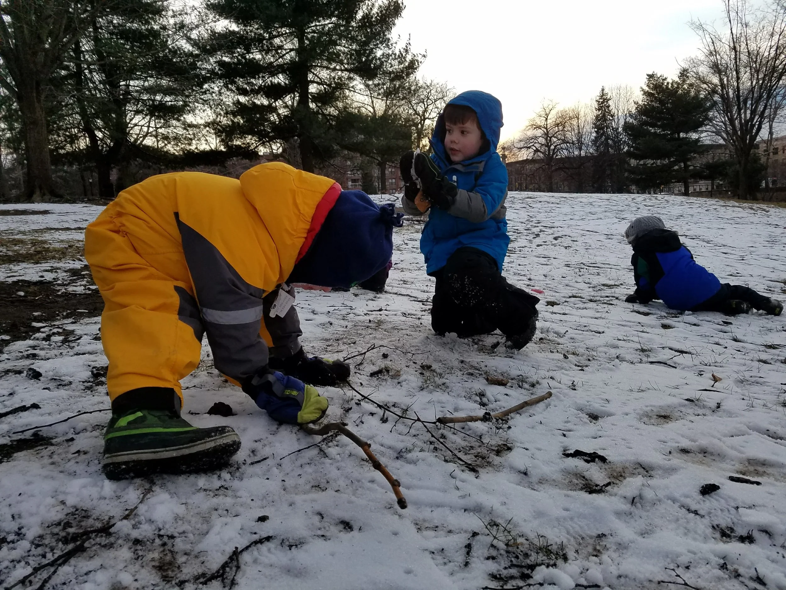 20180130_162918.jpg