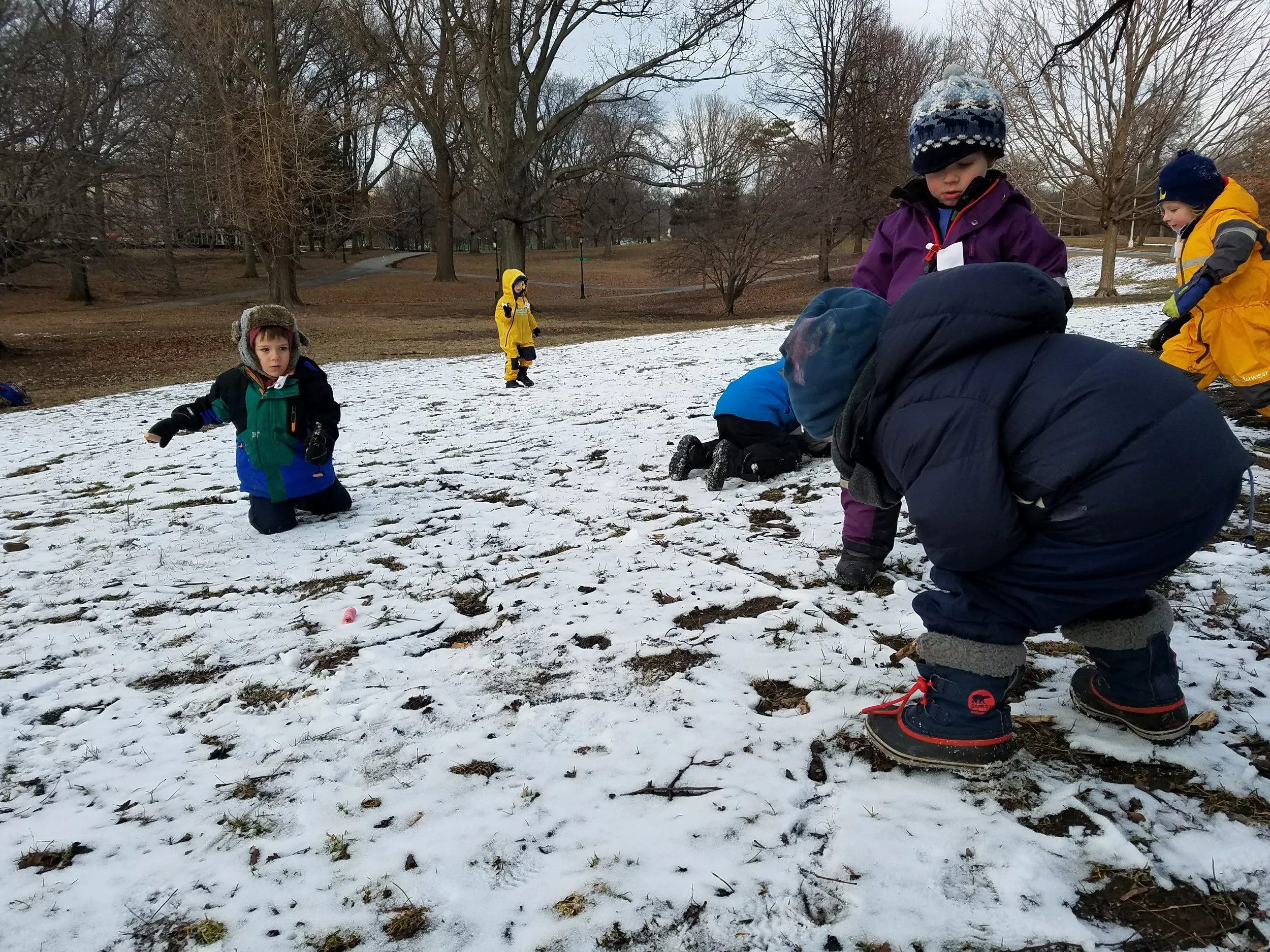 20180130_162839.jpg