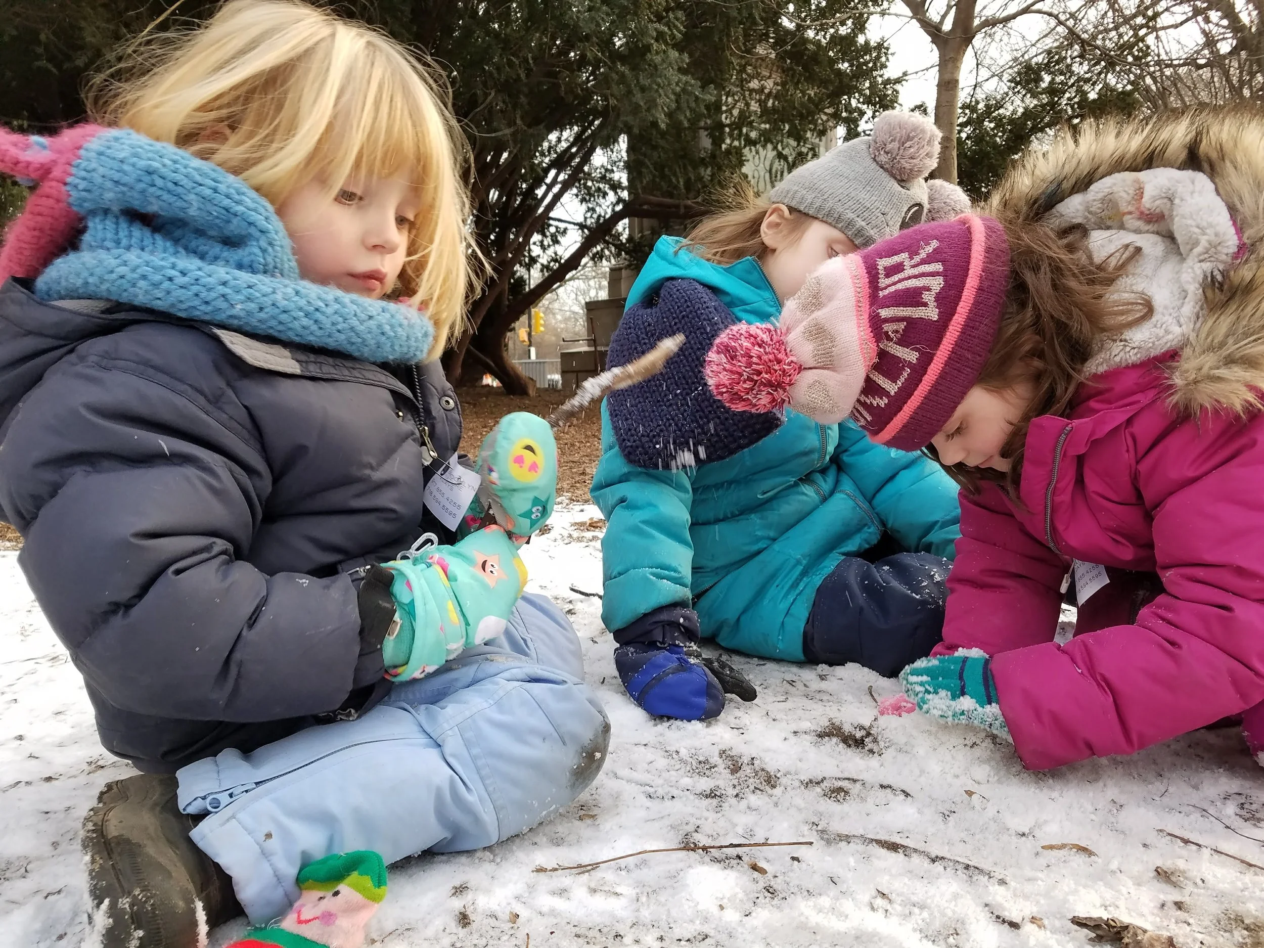 20180131_161648.jpg