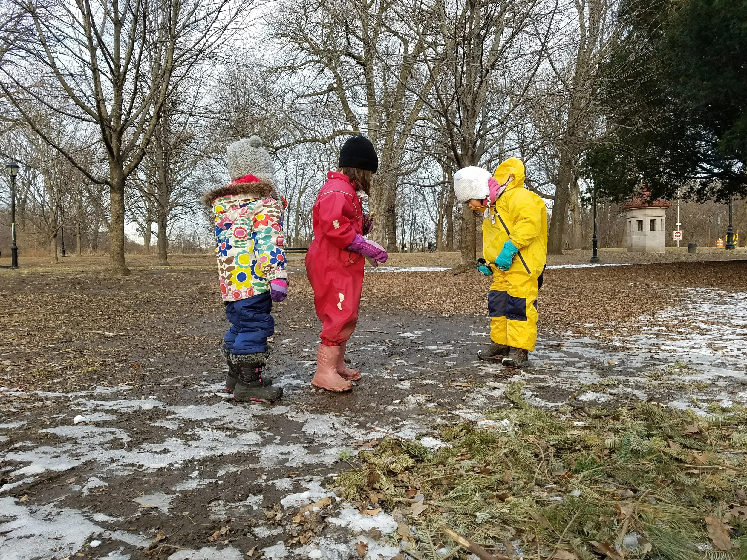 20180131_161529.jpg