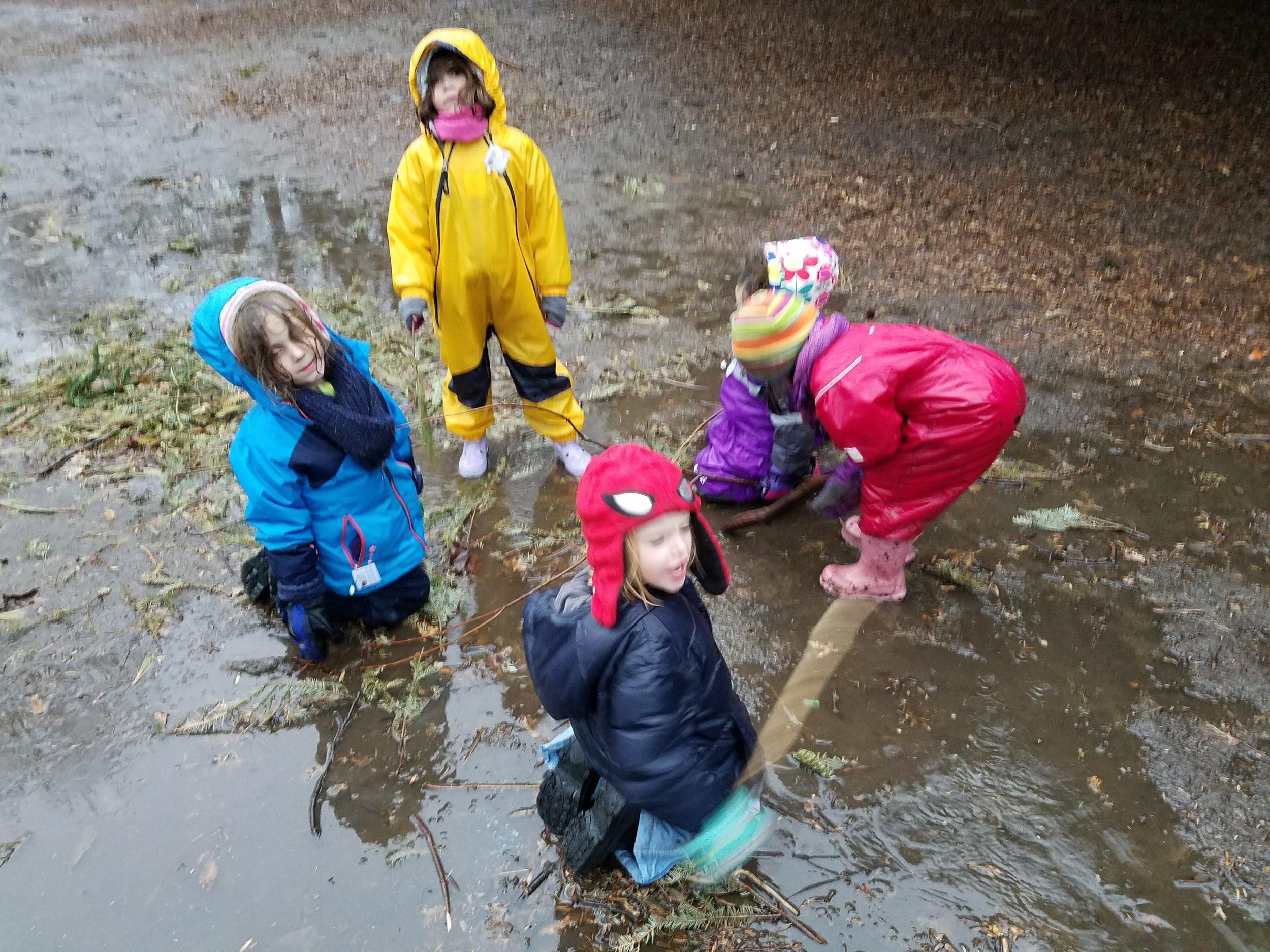 20180207_164253.jpg