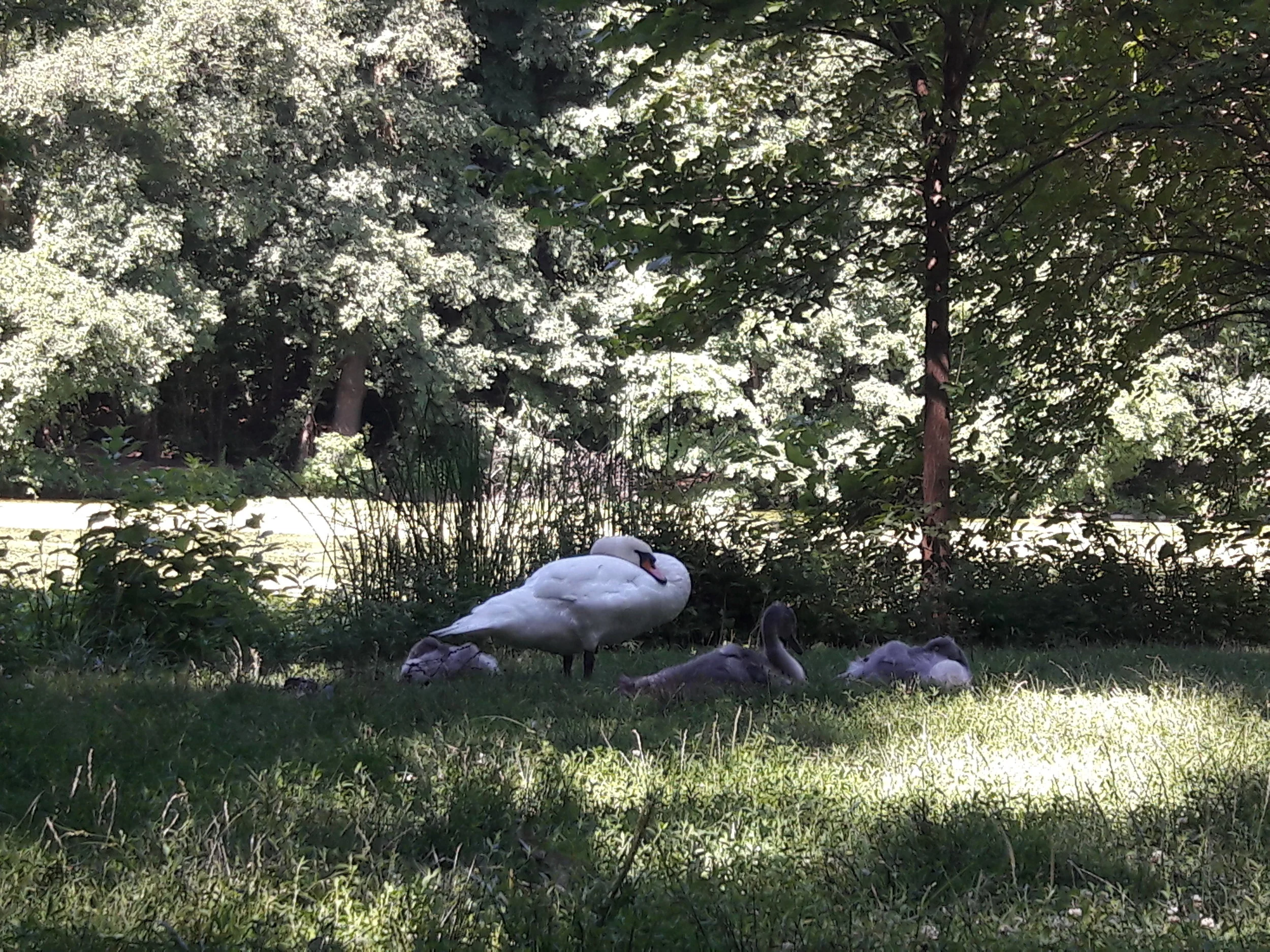 20180719_101913.jpg