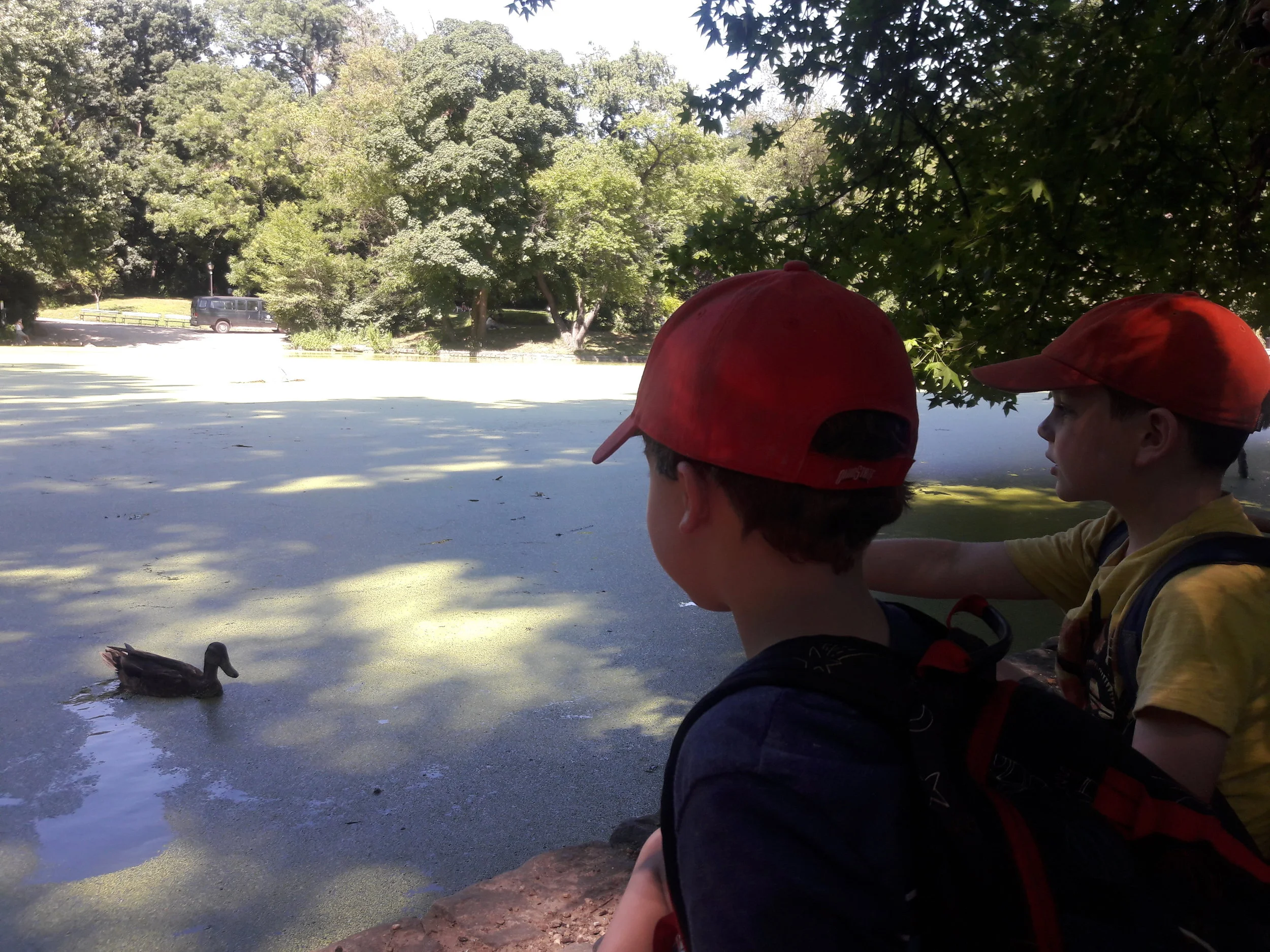 20180719_152855.jpg