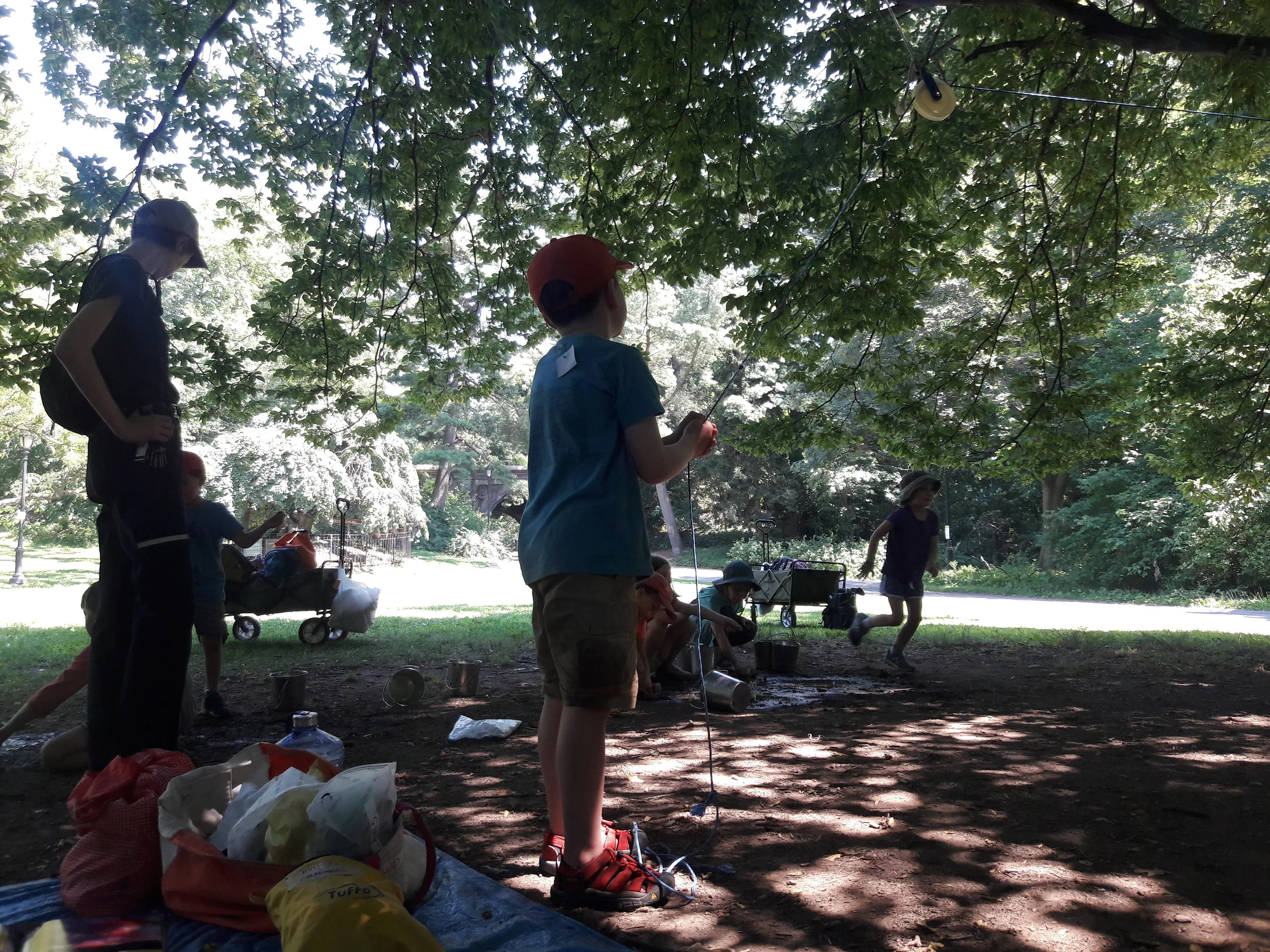 20180718_142510.jpg