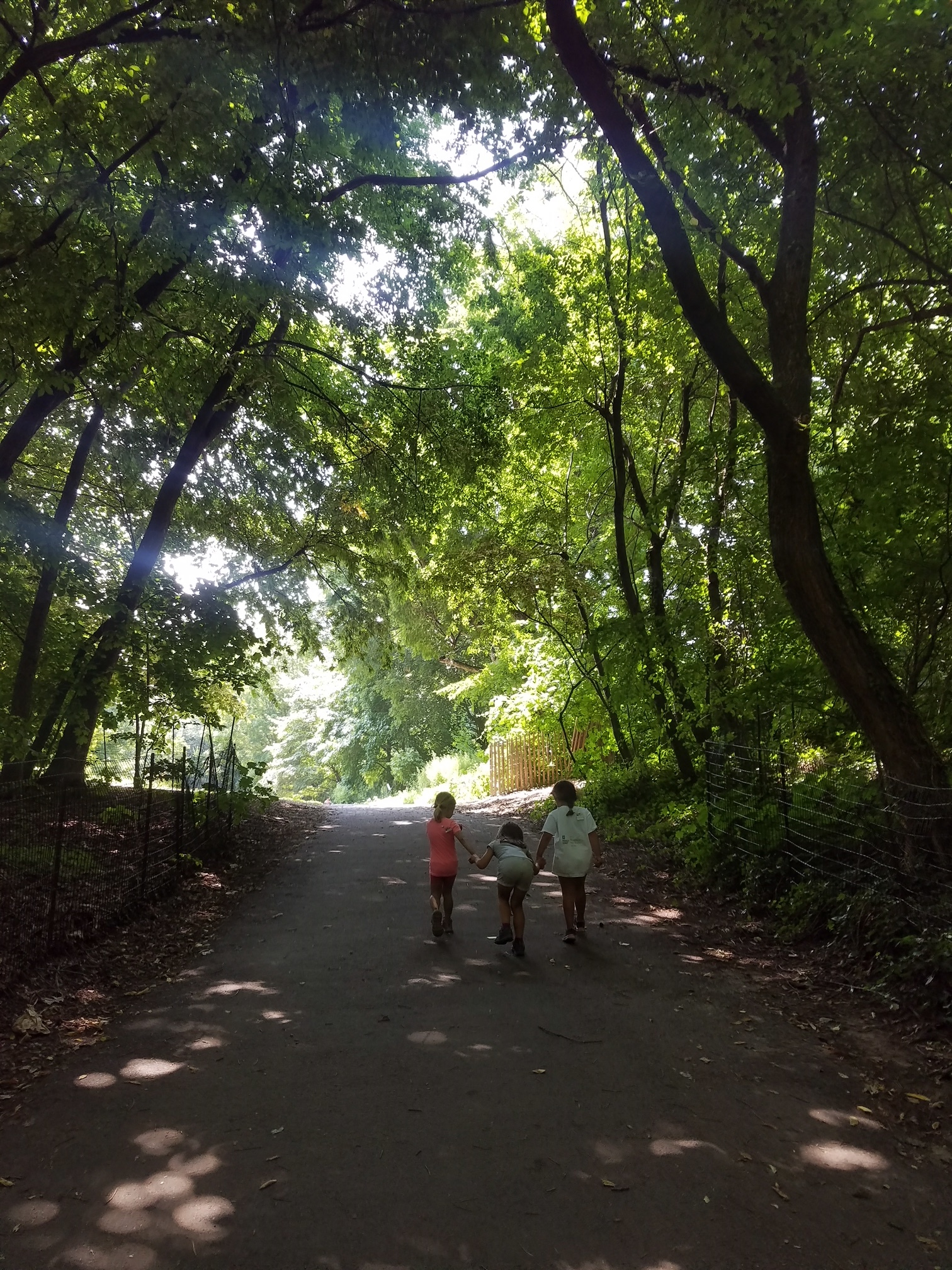 20180713_111813.JPG