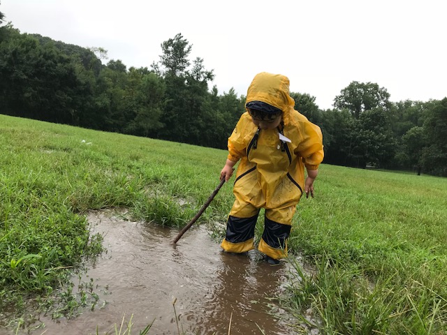IMG_6539.jpg