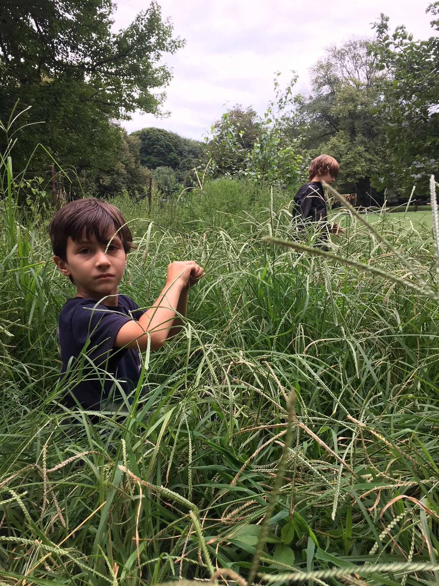 IMG_7846.JPG