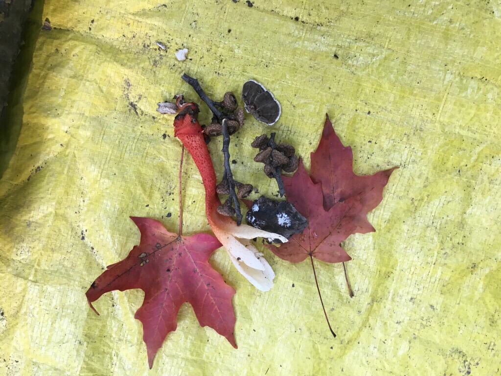 IMG_8502.JPG