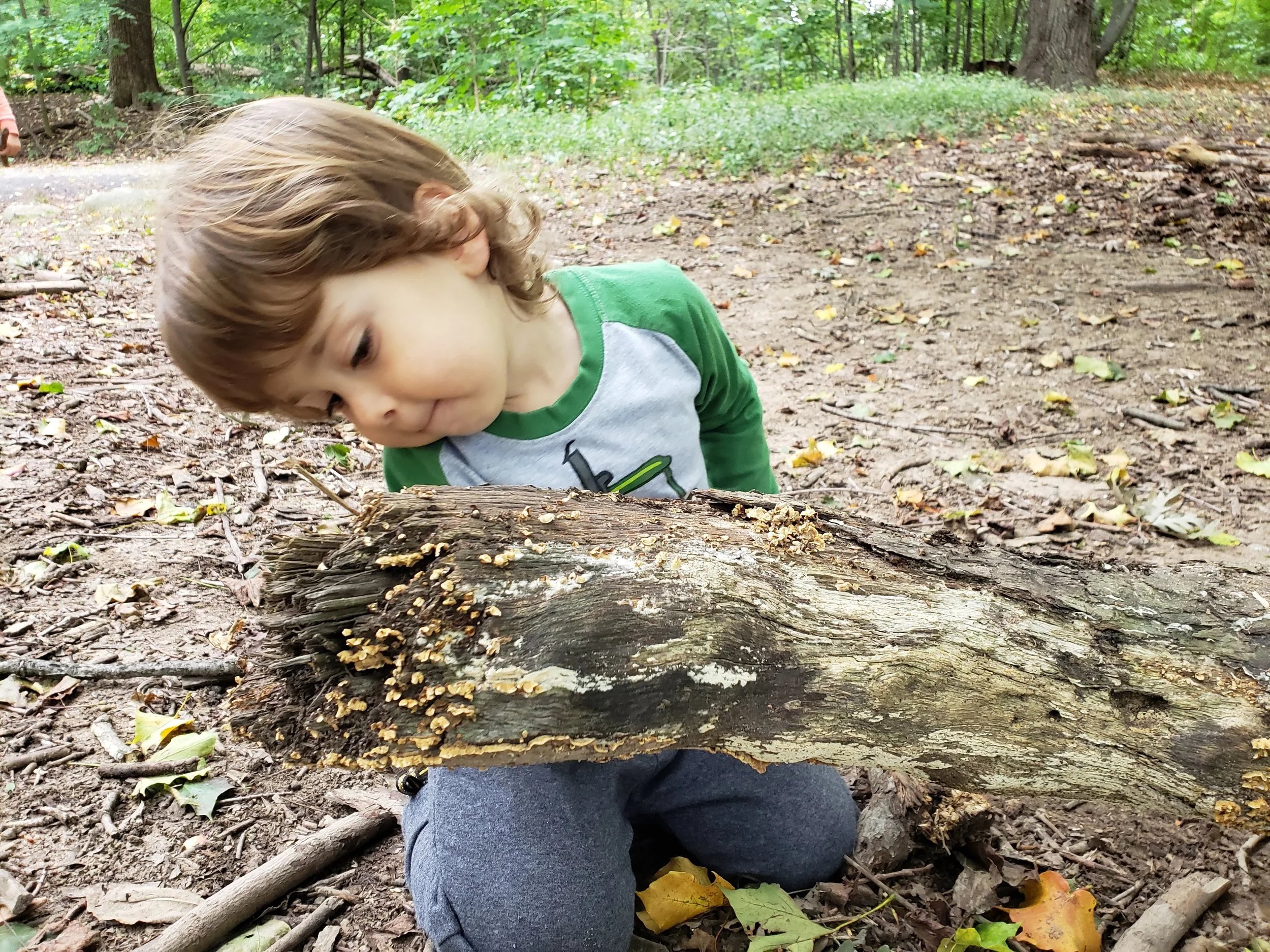 20180924_101325.jpg
