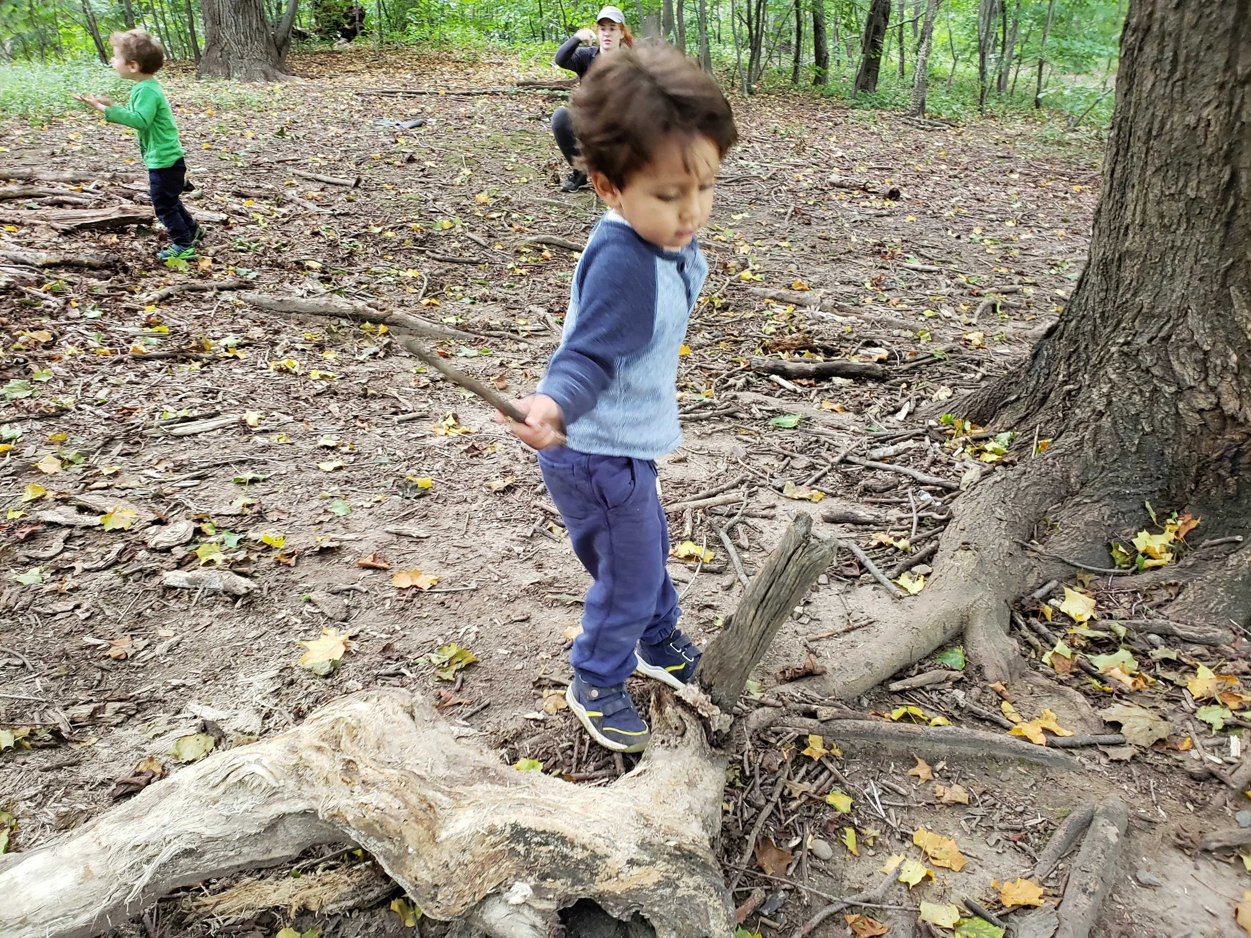 20180924_100632.jpg