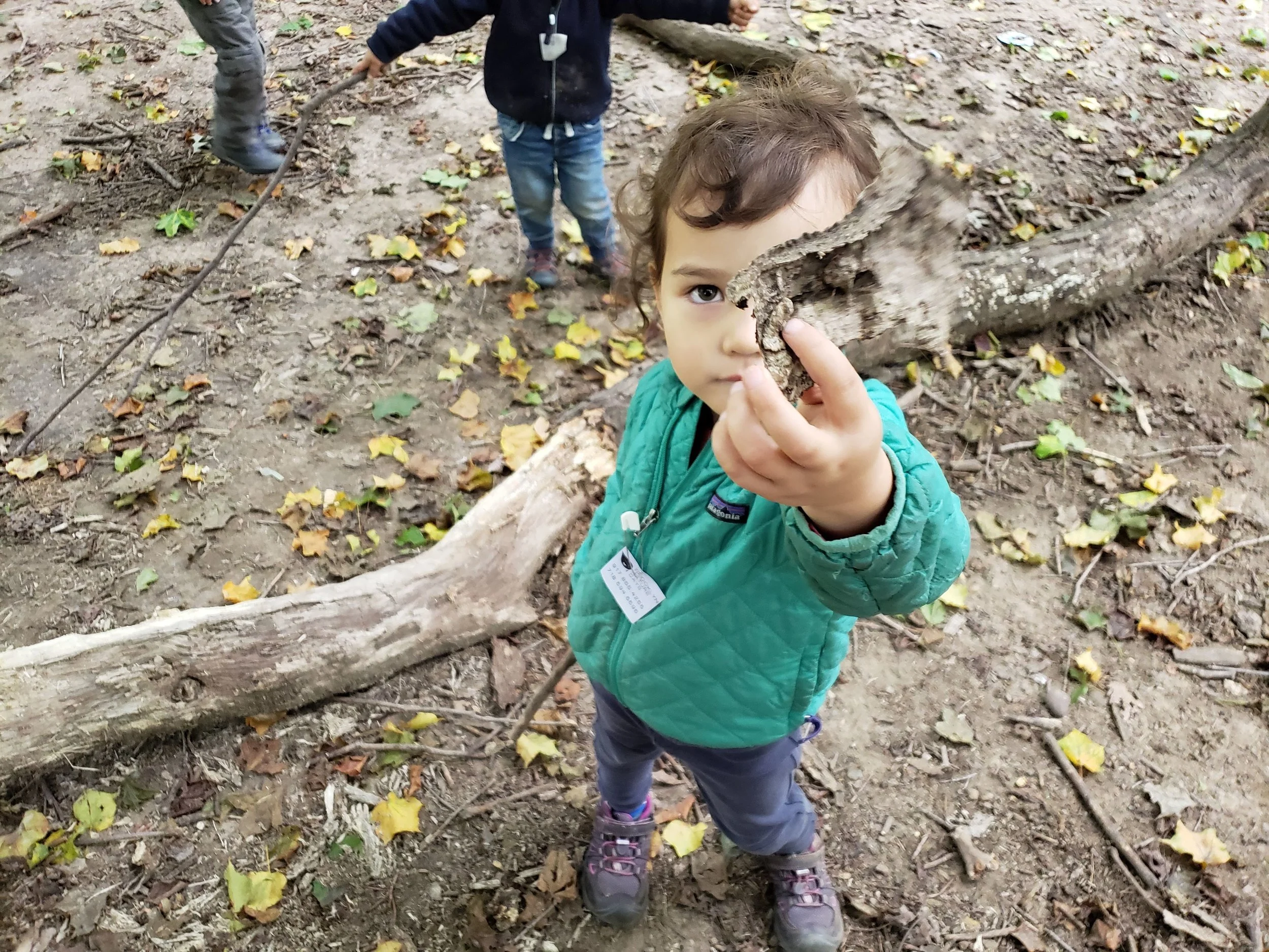 20180924_100003.jpg