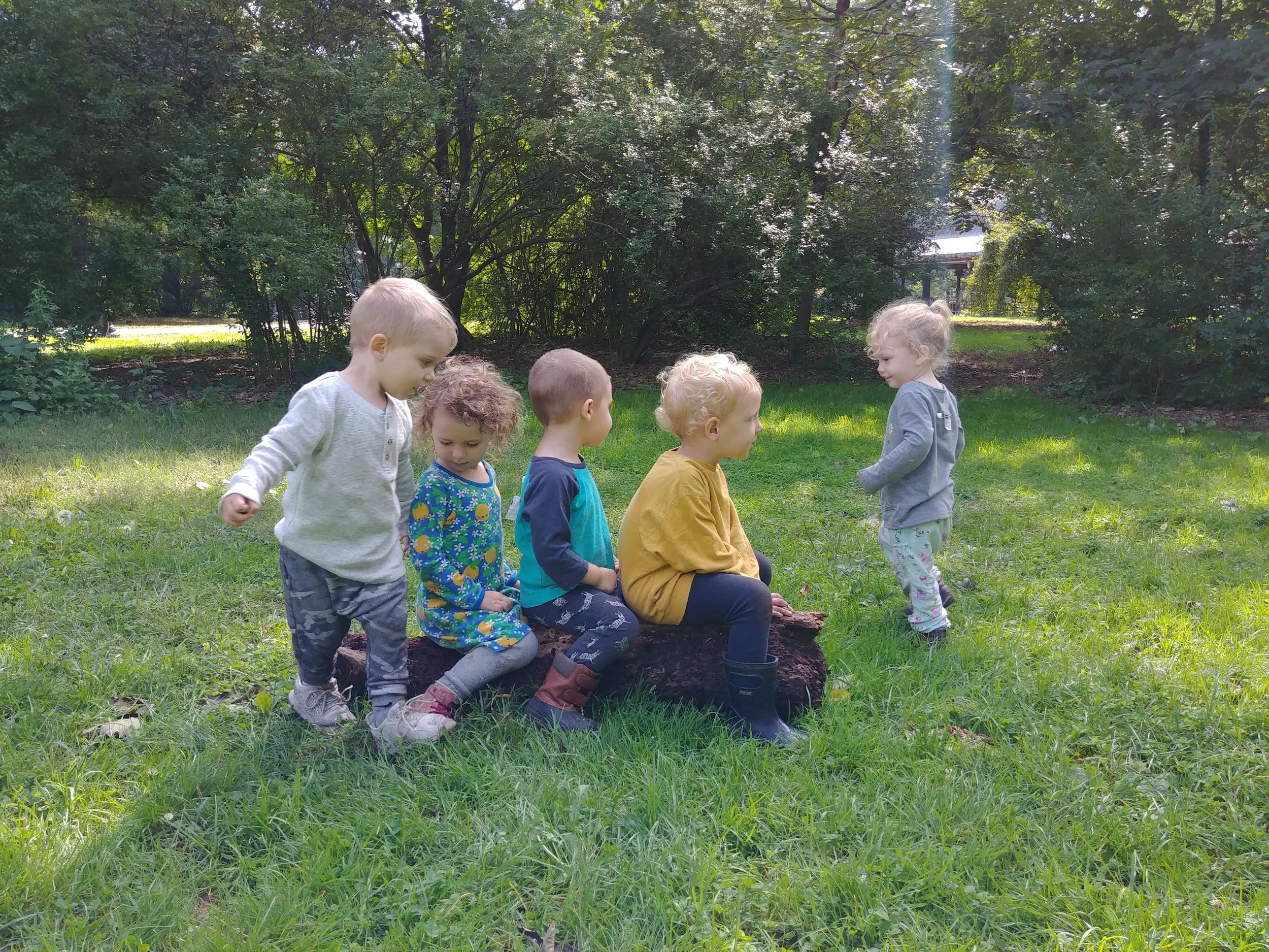 20181004_115717.jpg