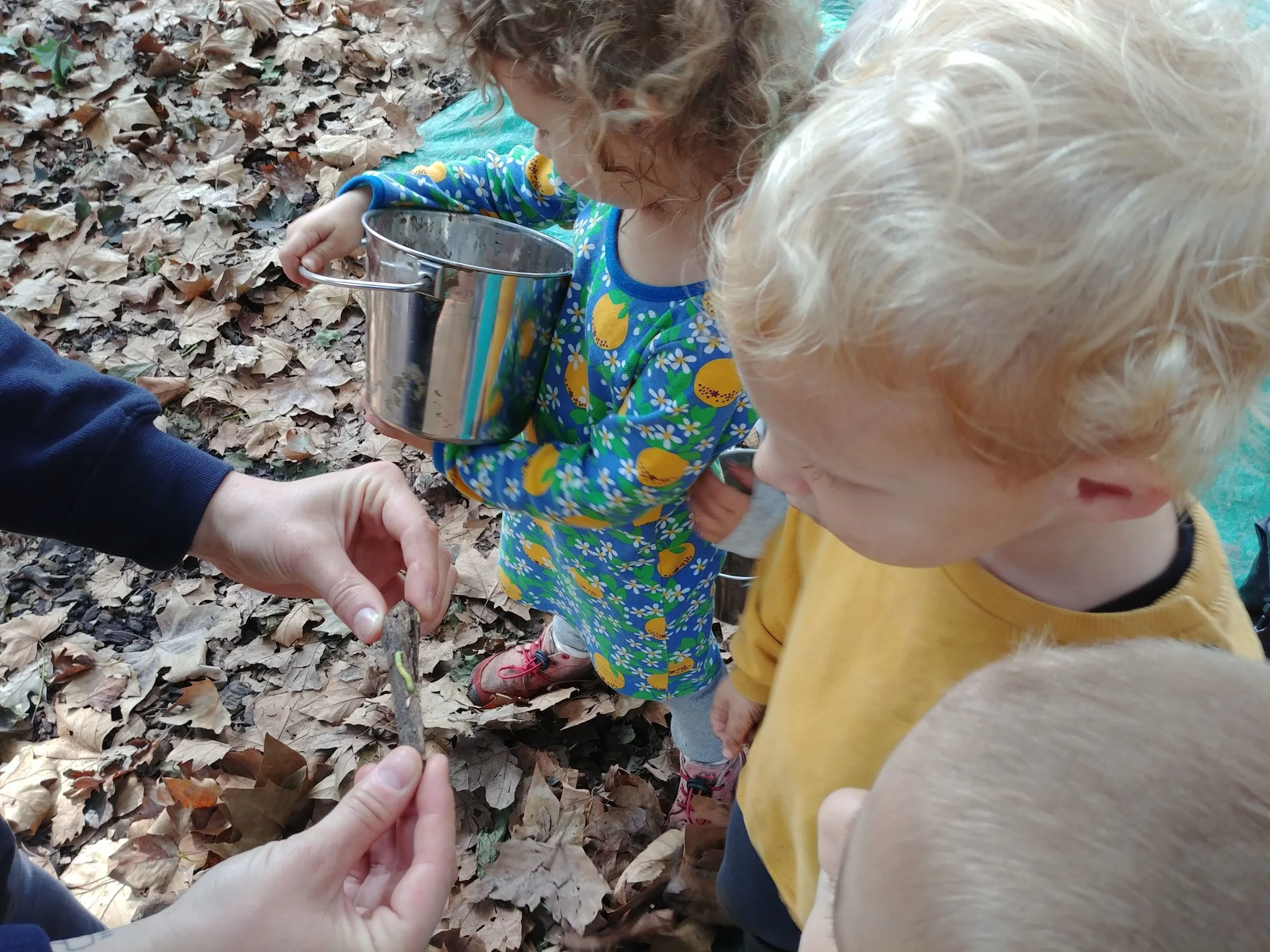 20181004_102911.jpg