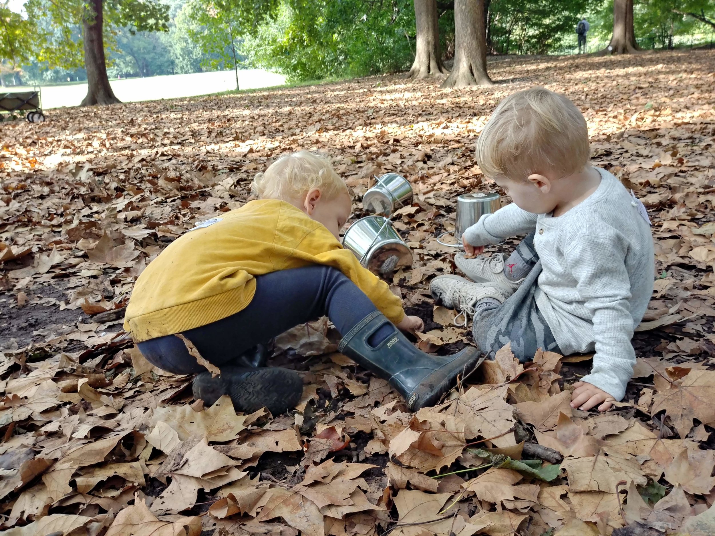 20181004_112755_HDR.jpg