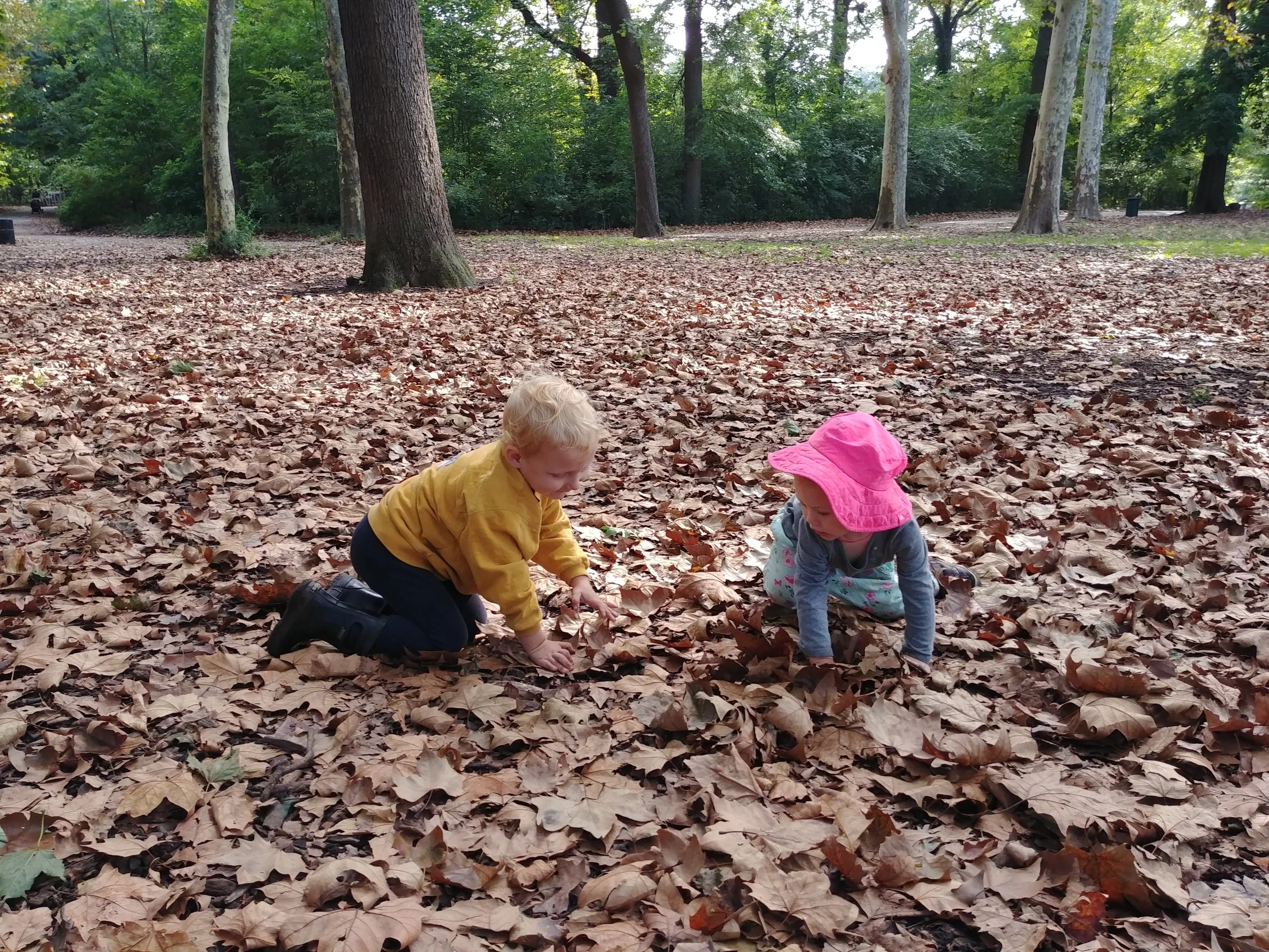 20181004_100416.jpg