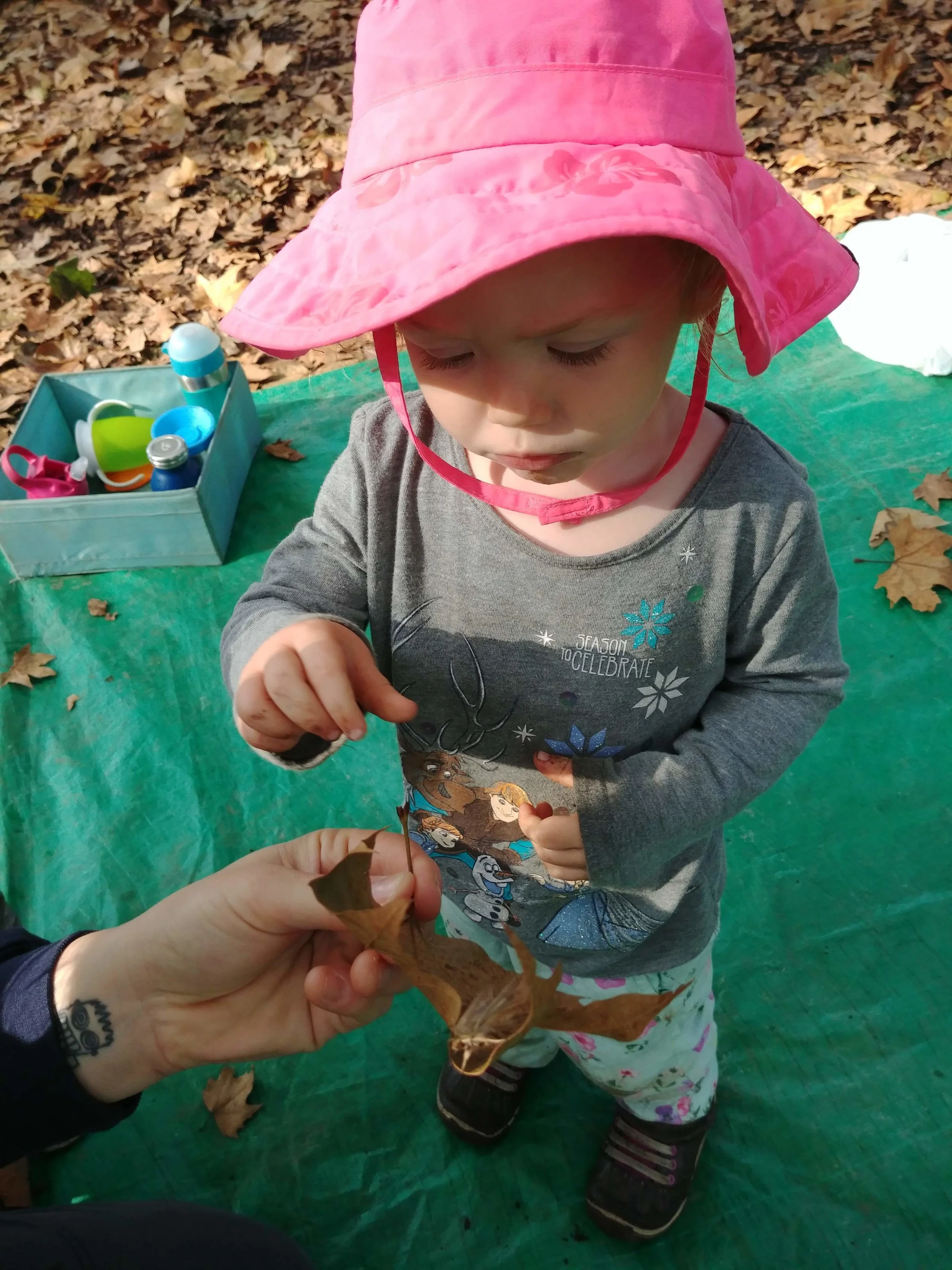 20181004_100200.jpg