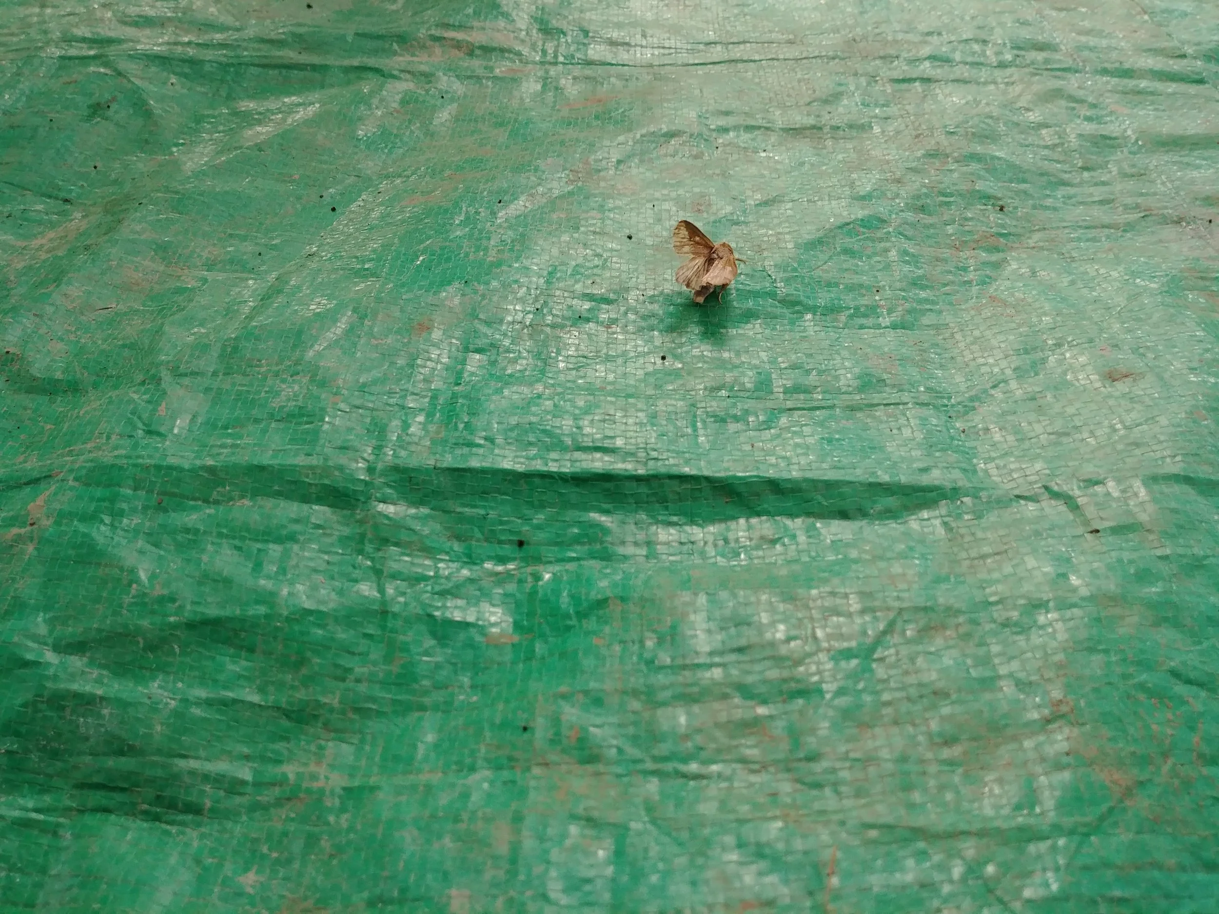 20181004_100050.jpg