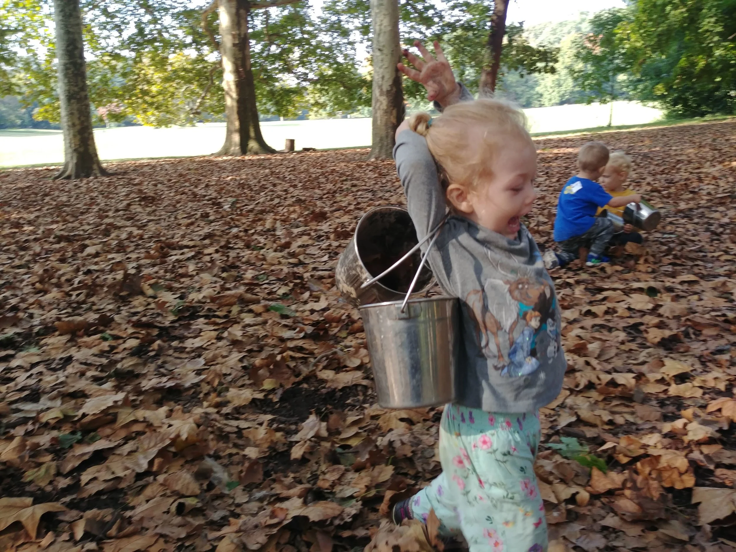 20181004_095110.jpg