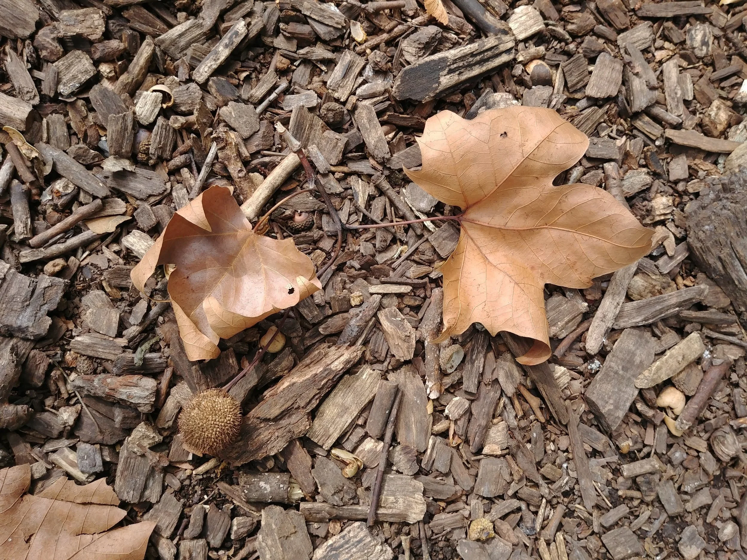 20181002_112809.jpg