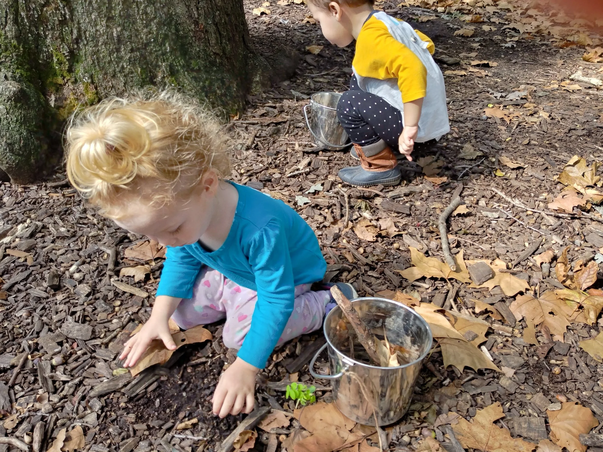 20181002_112627_HDR.jpg