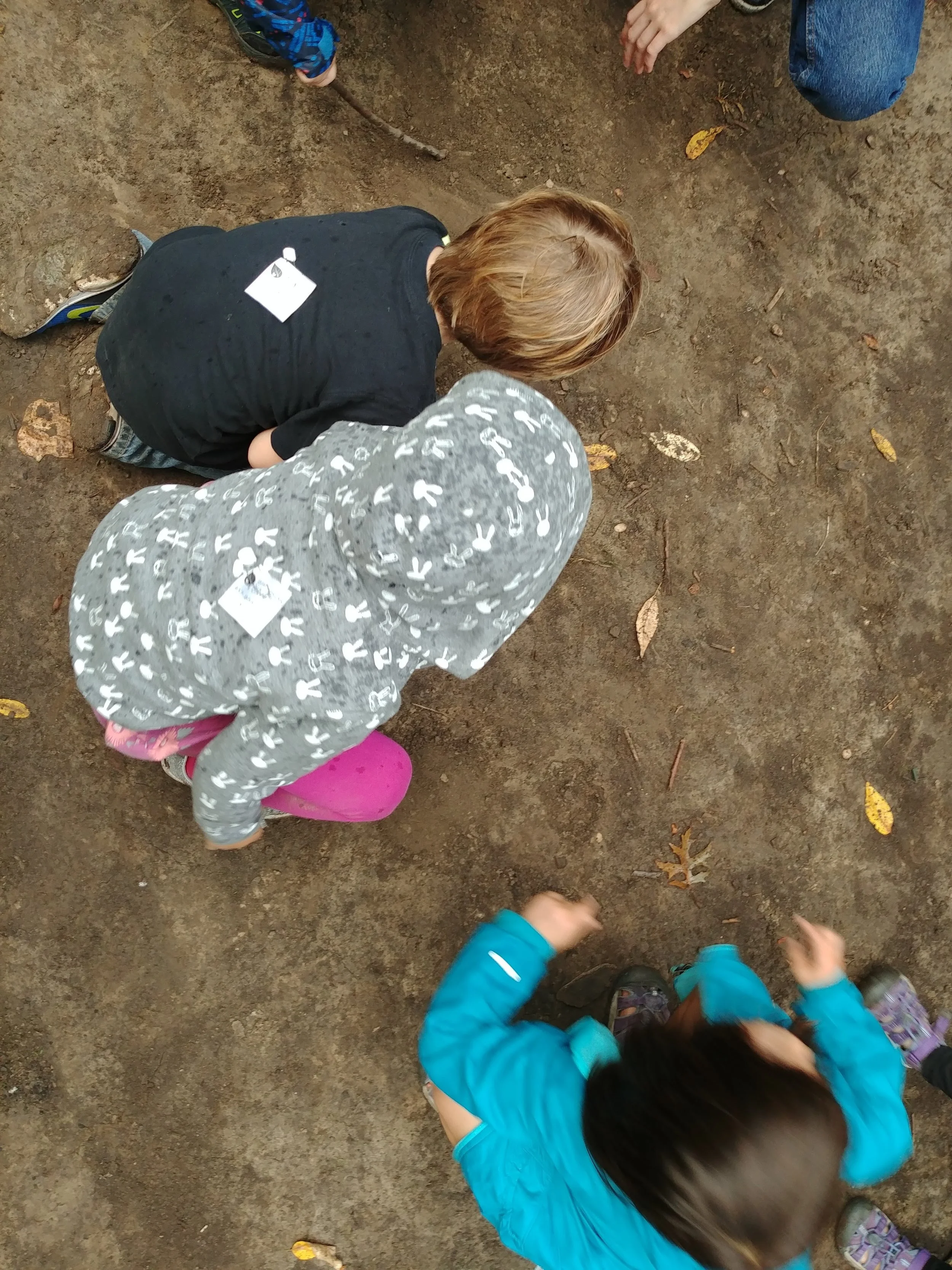 20181004_175316.jpg