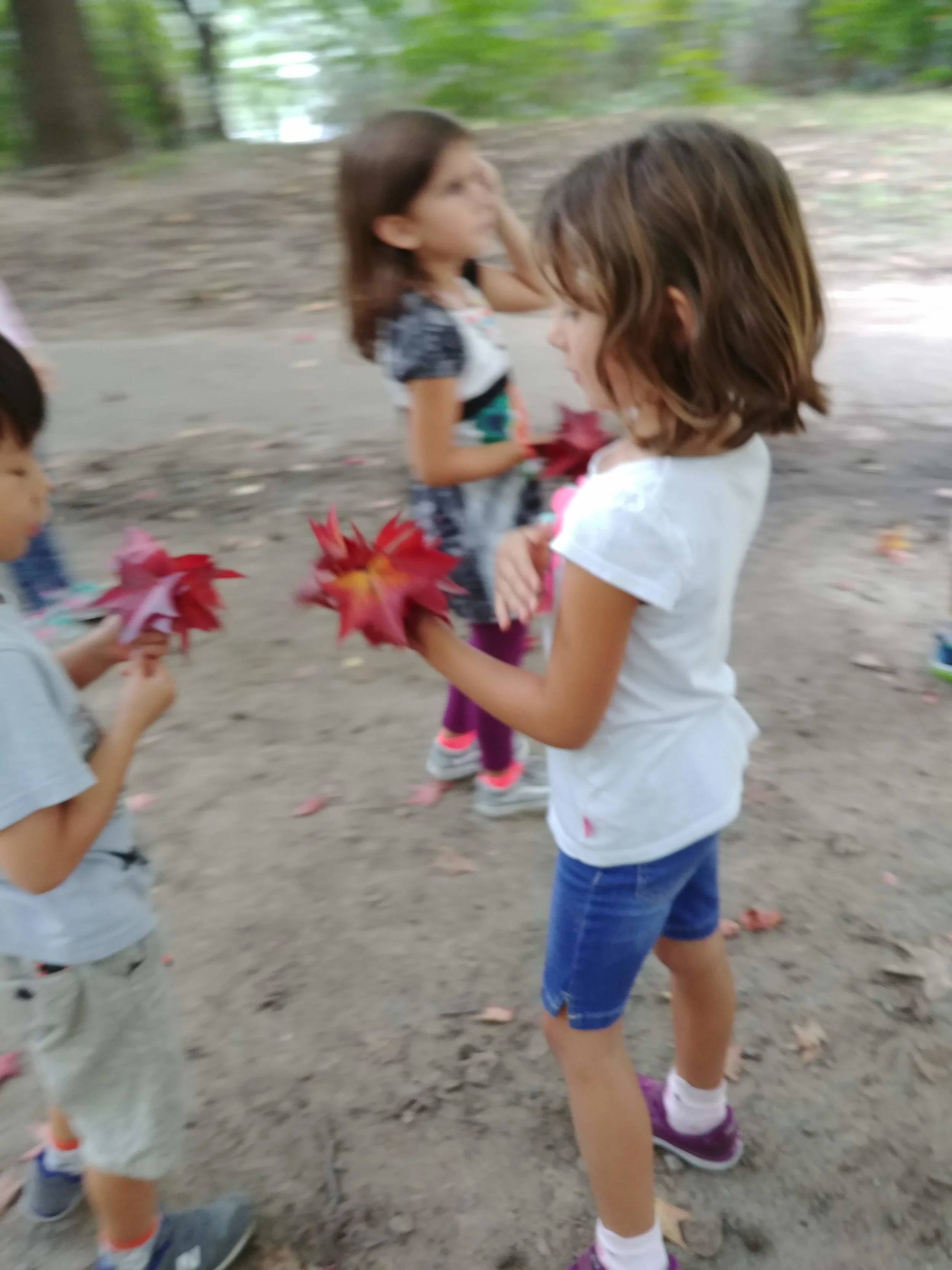 20181002_152928.jpg