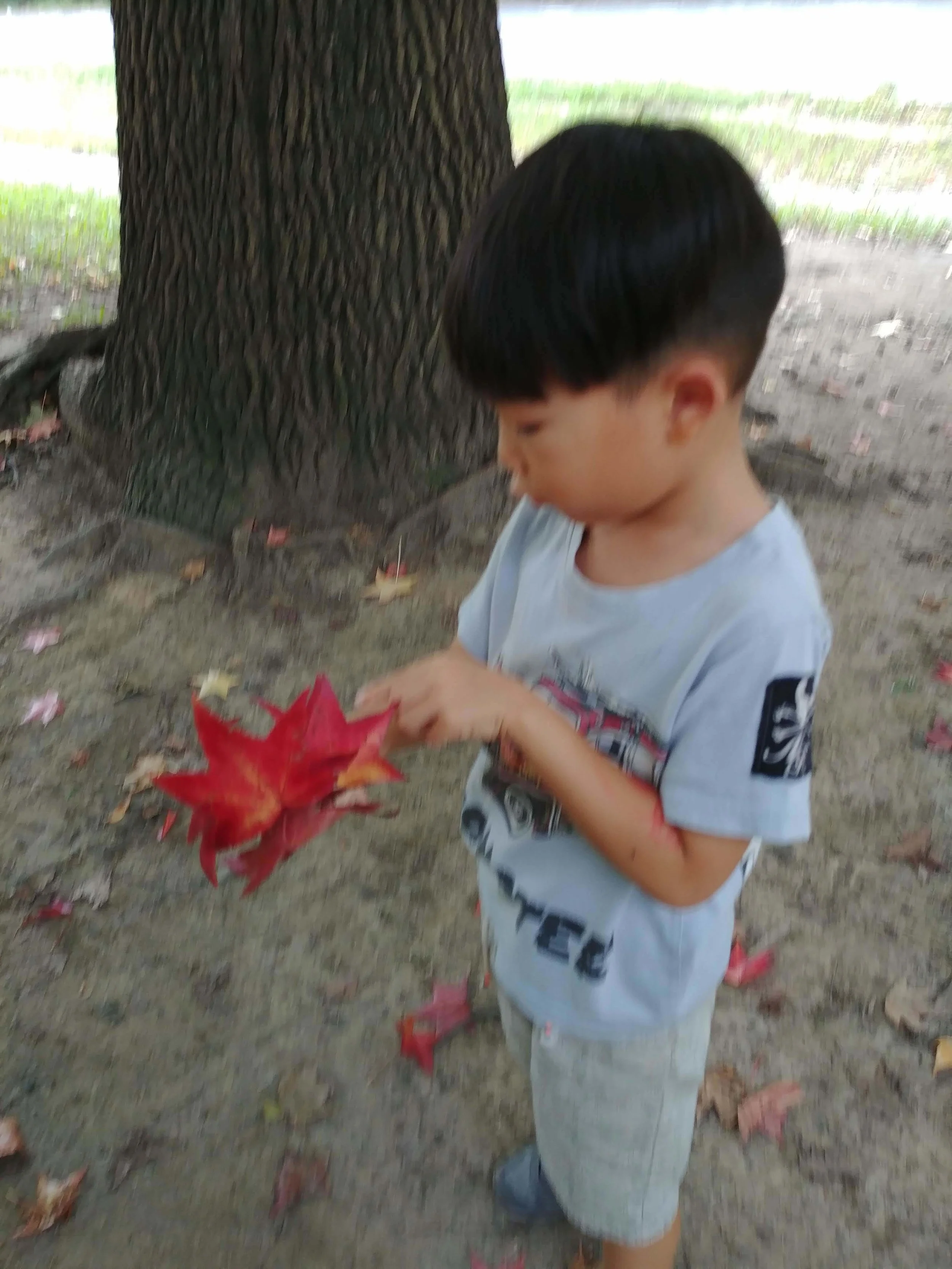 20181002_152922.jpg