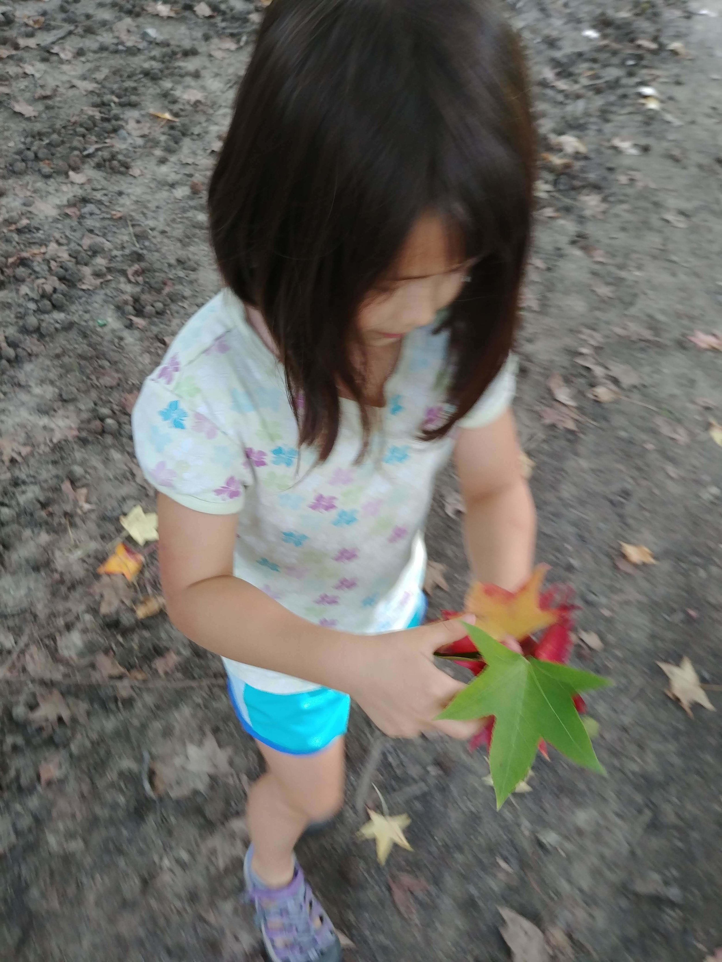 20181002_152905.jpg