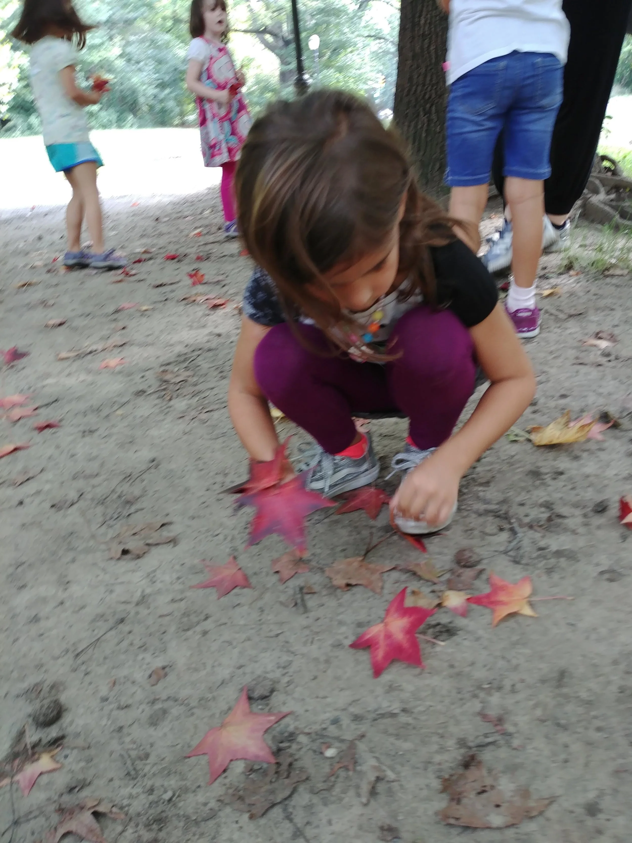 20181002_152630.jpg