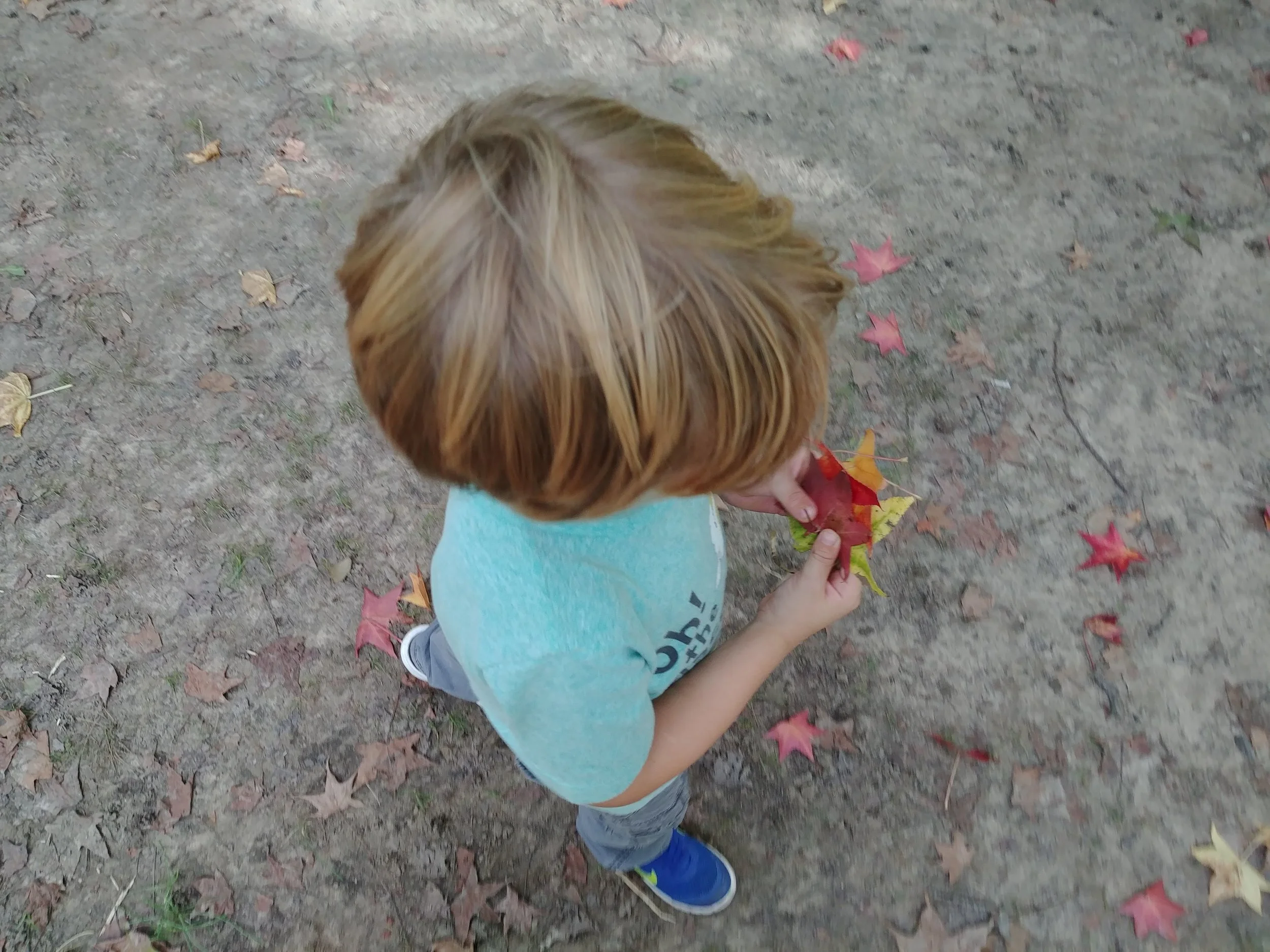 20181002_152618.jpg