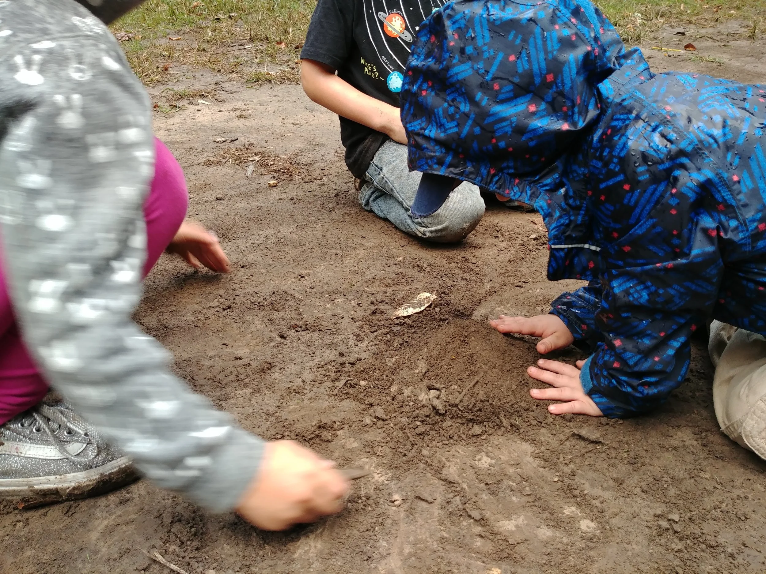 20181004_175721.jpg