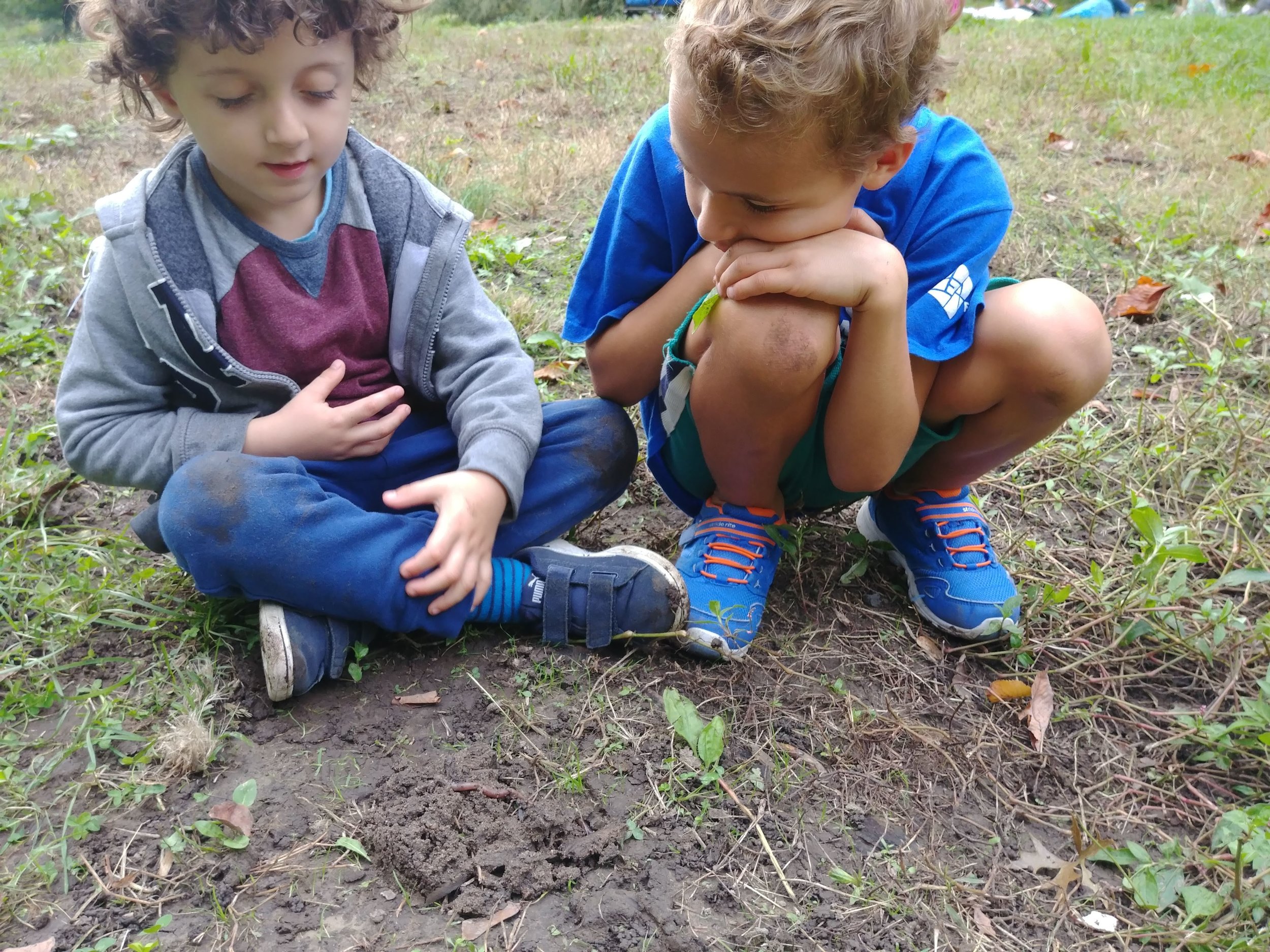 20181005_160545.jpg