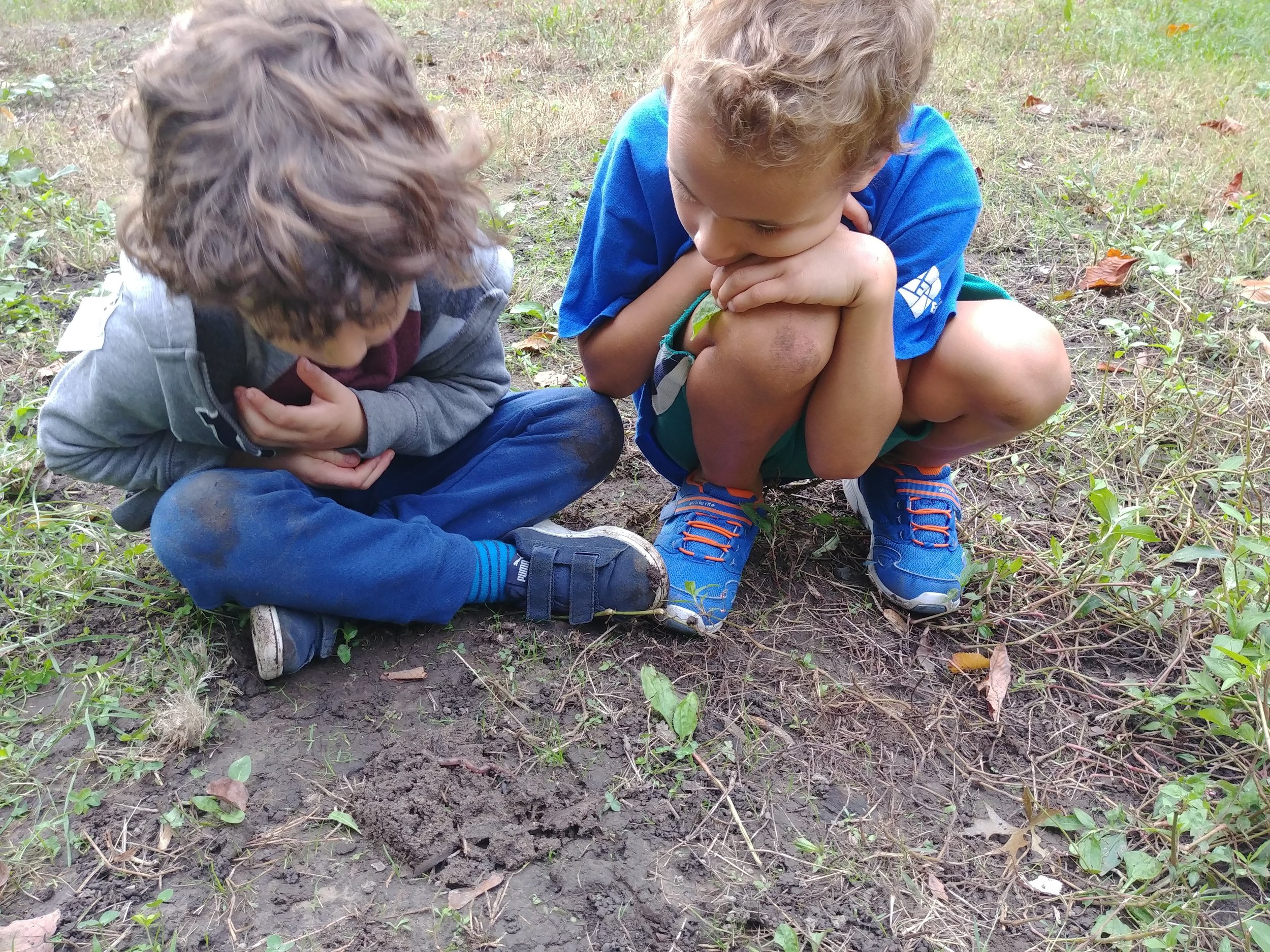 20181005_160537.jpg