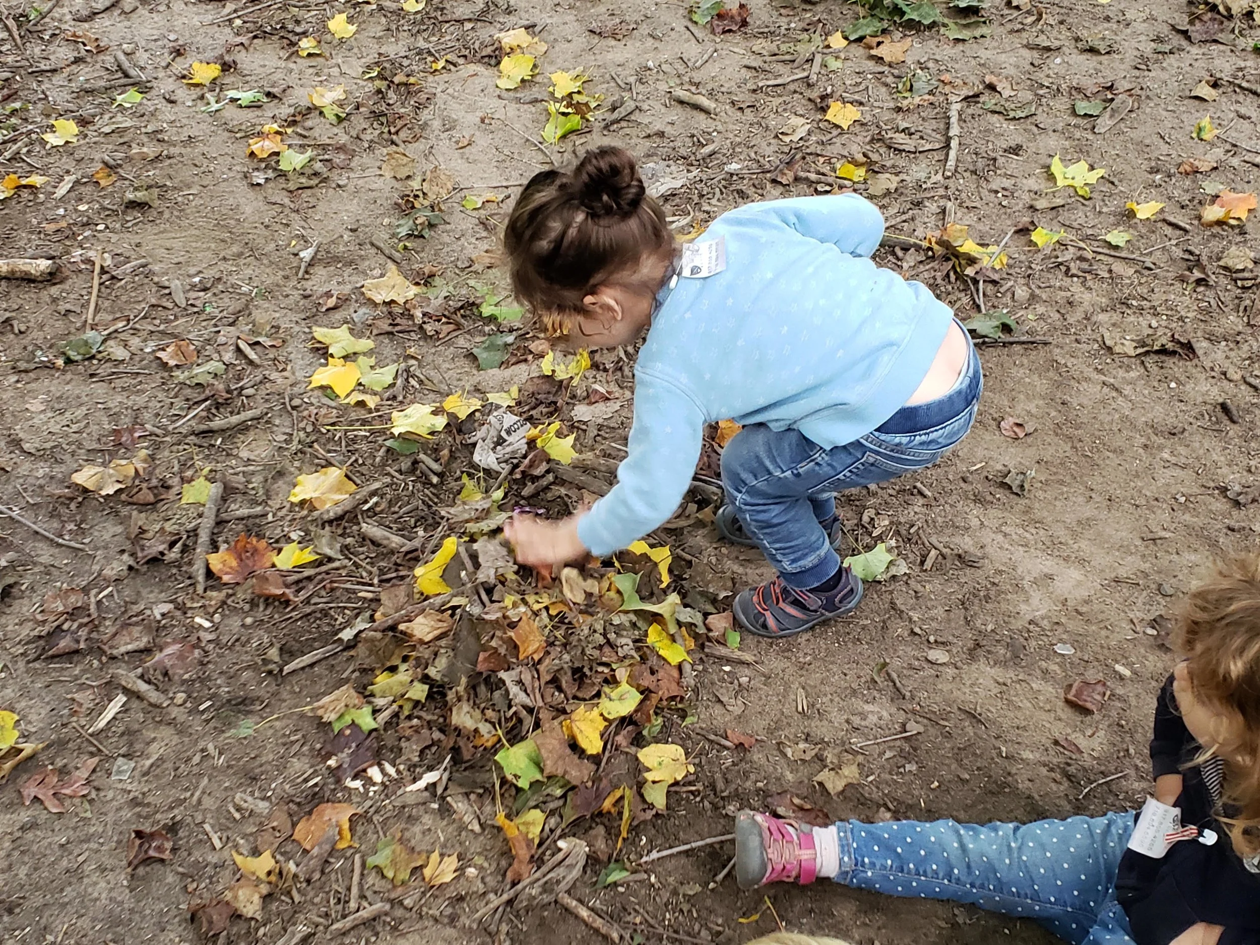 20181001_101319.jpg