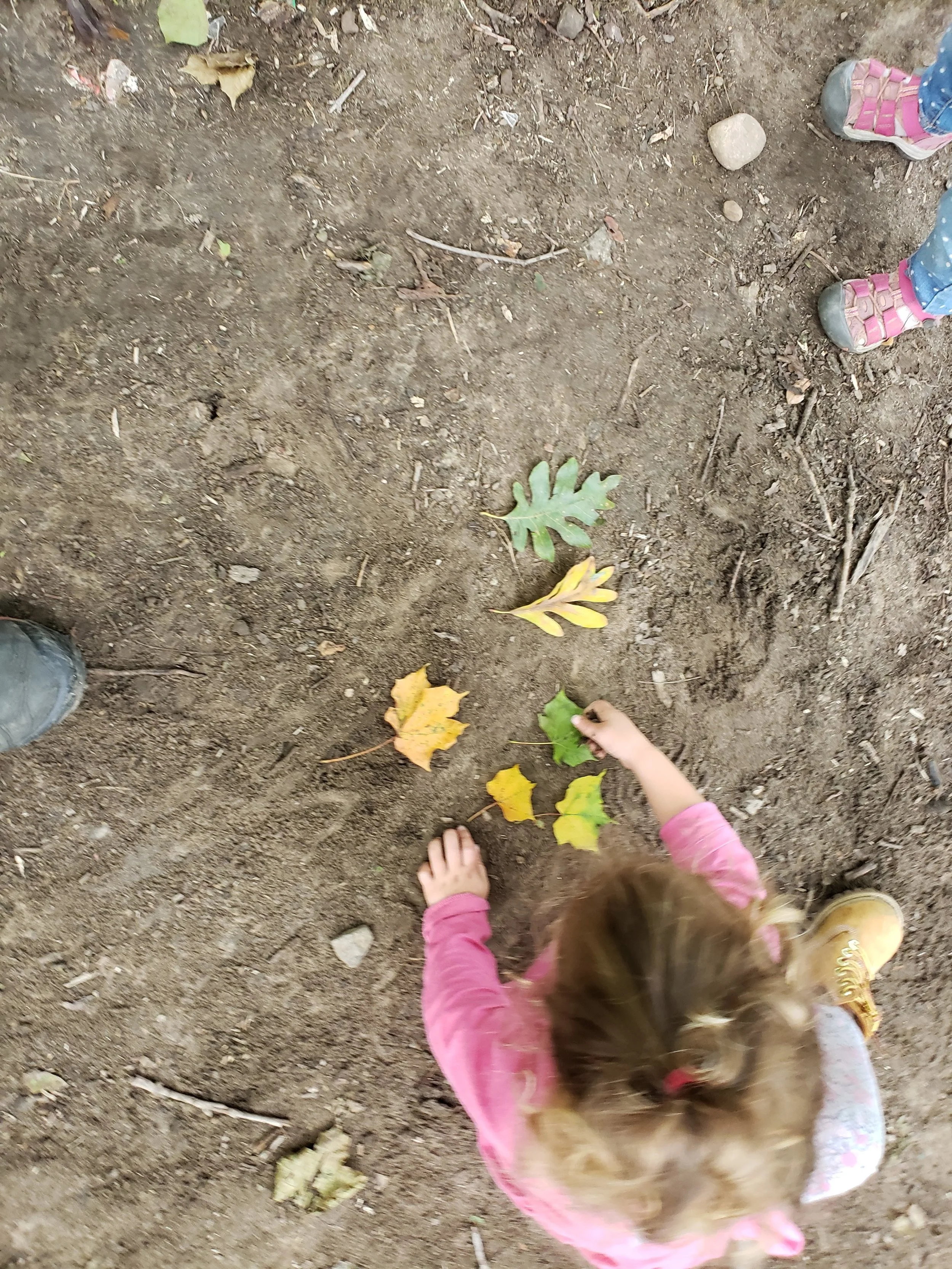 20181001_101041.jpg