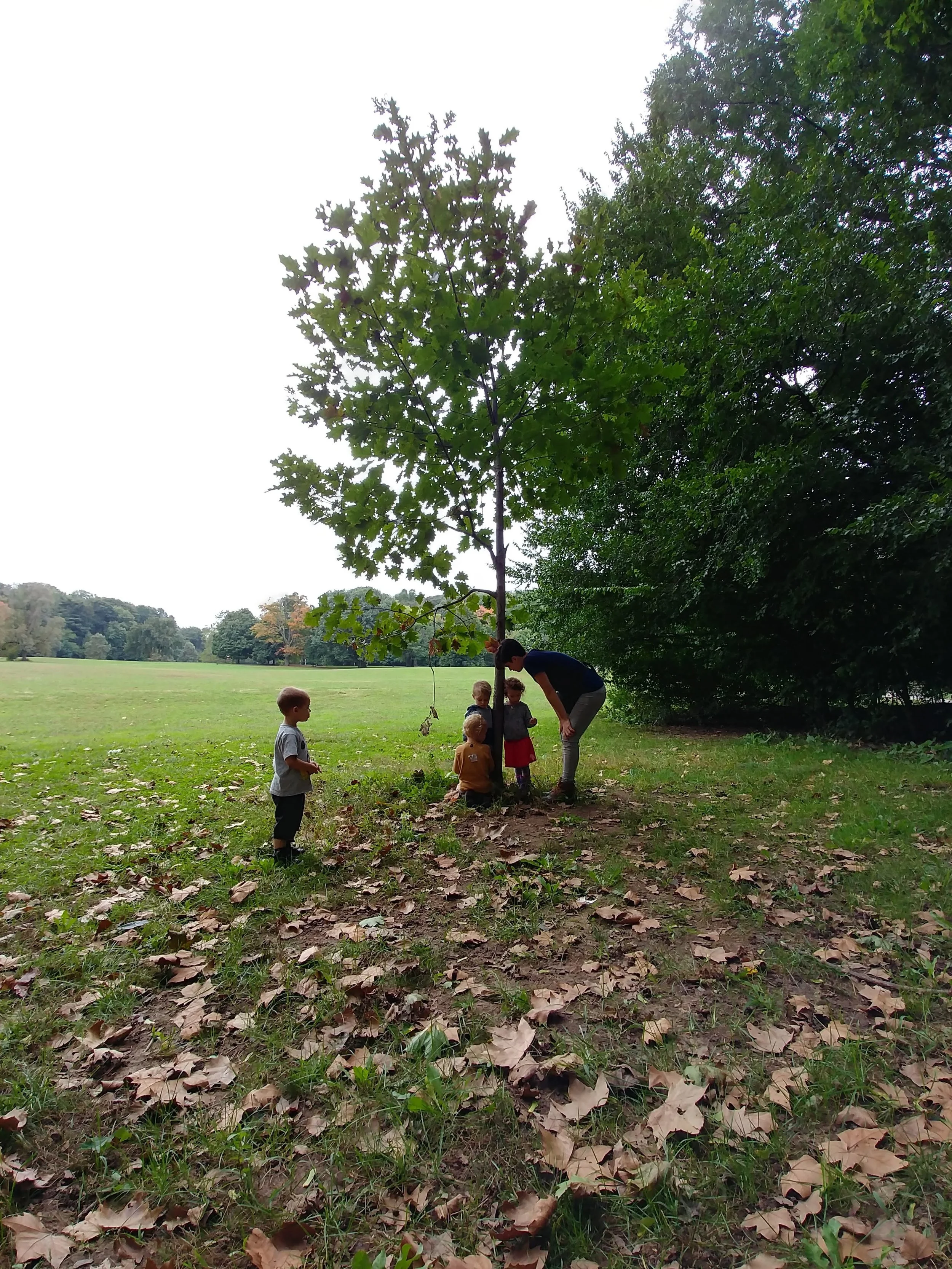 20181009_112233_HDR.jpg