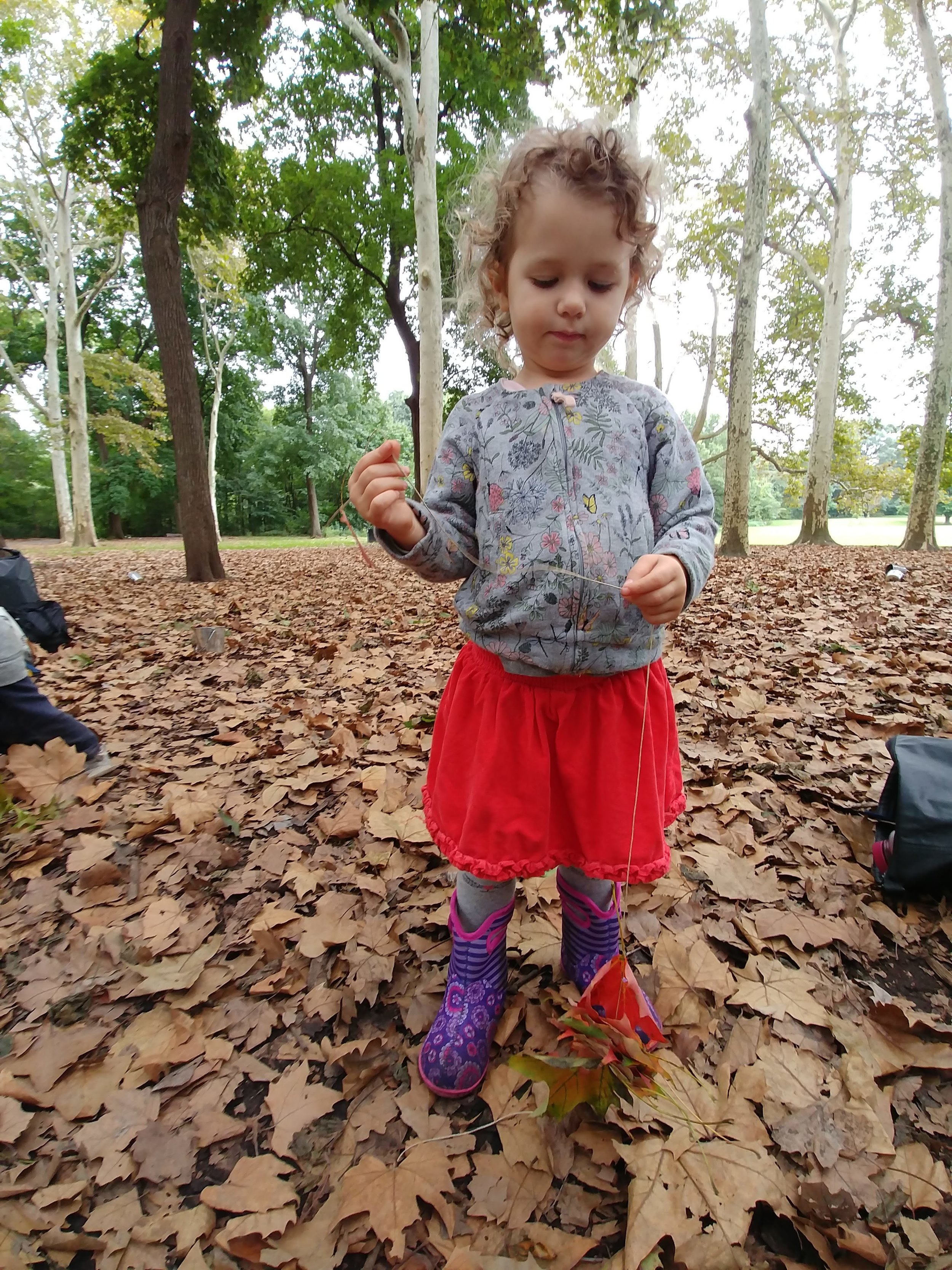 20181009_111901.jpg